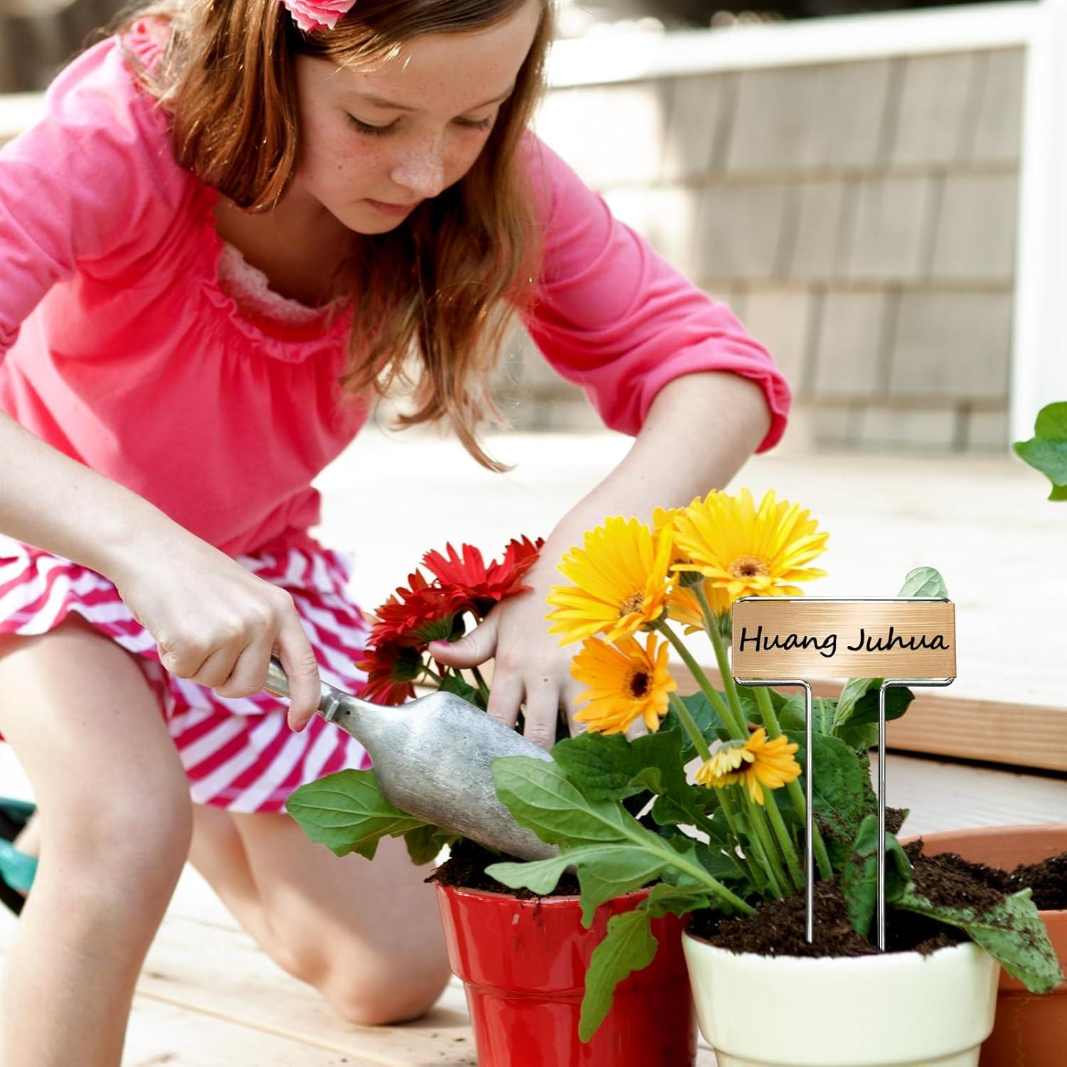 33 Estacas de Jardín de Acero Galvanizado CENNSIOQP con 2 Bolígrafos