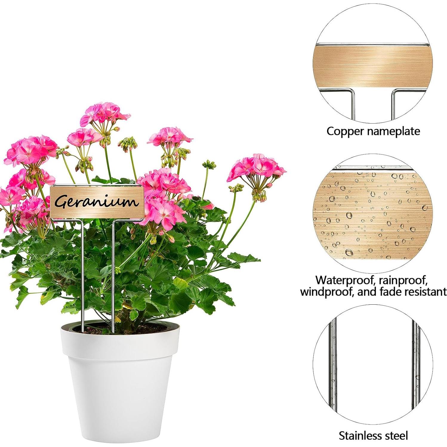 33 Estacas de Jardín de Acero Galvanizado CENNSIOQP con 2 Bolígrafos