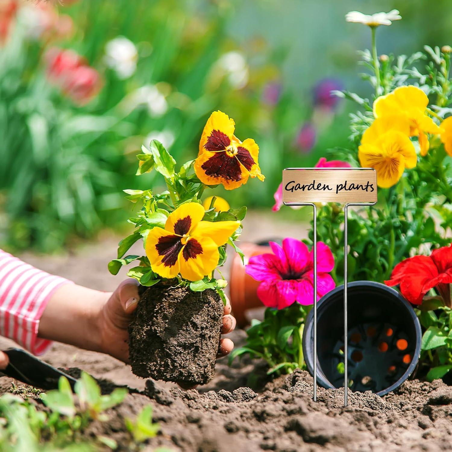 33 Estacas de Jardín de Acero Galvanizado CENNSIOQP con 2 Bolígrafos