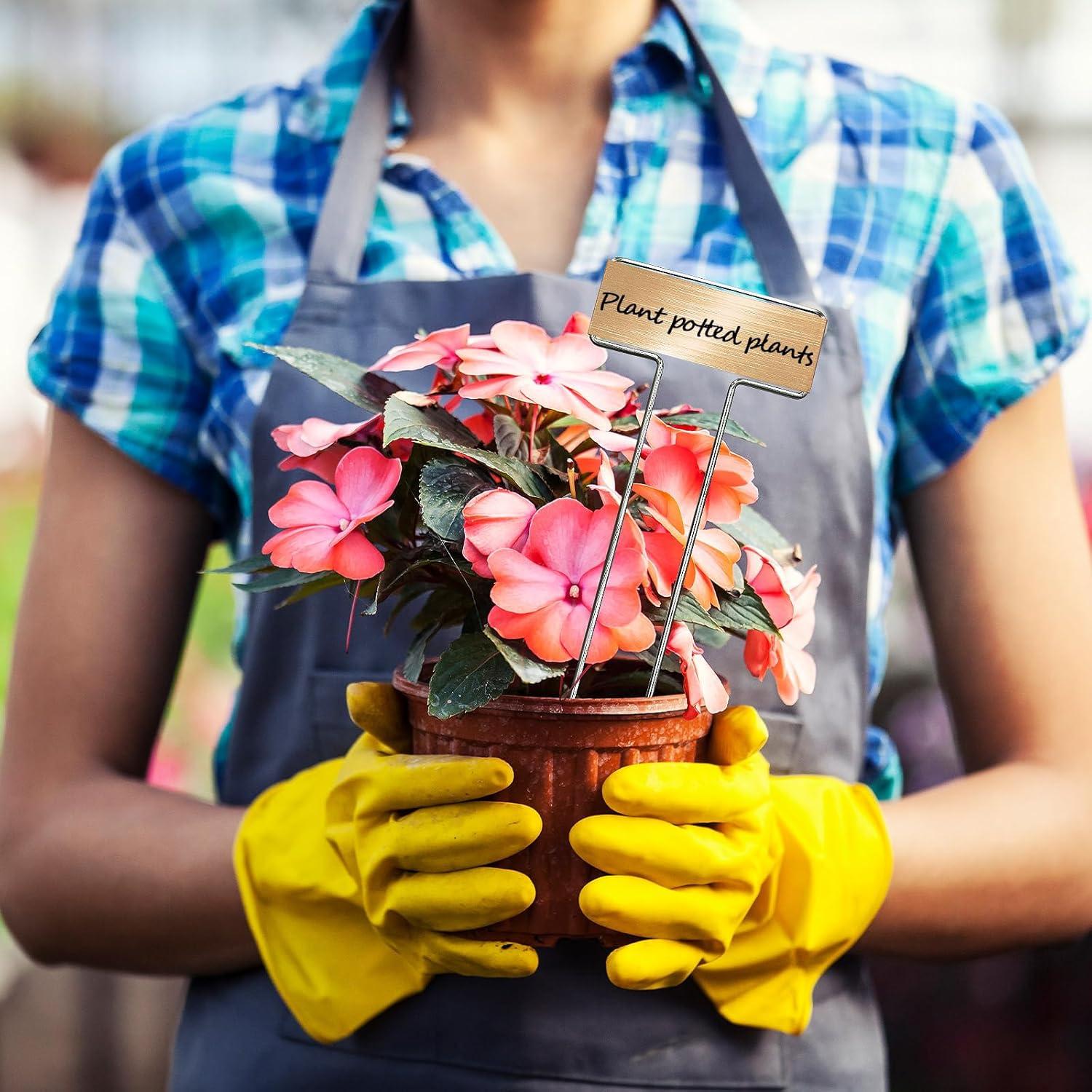 33 Estacas de Jardín de Acero Galvanizado CENNSIOQP con 2 Bolígrafos