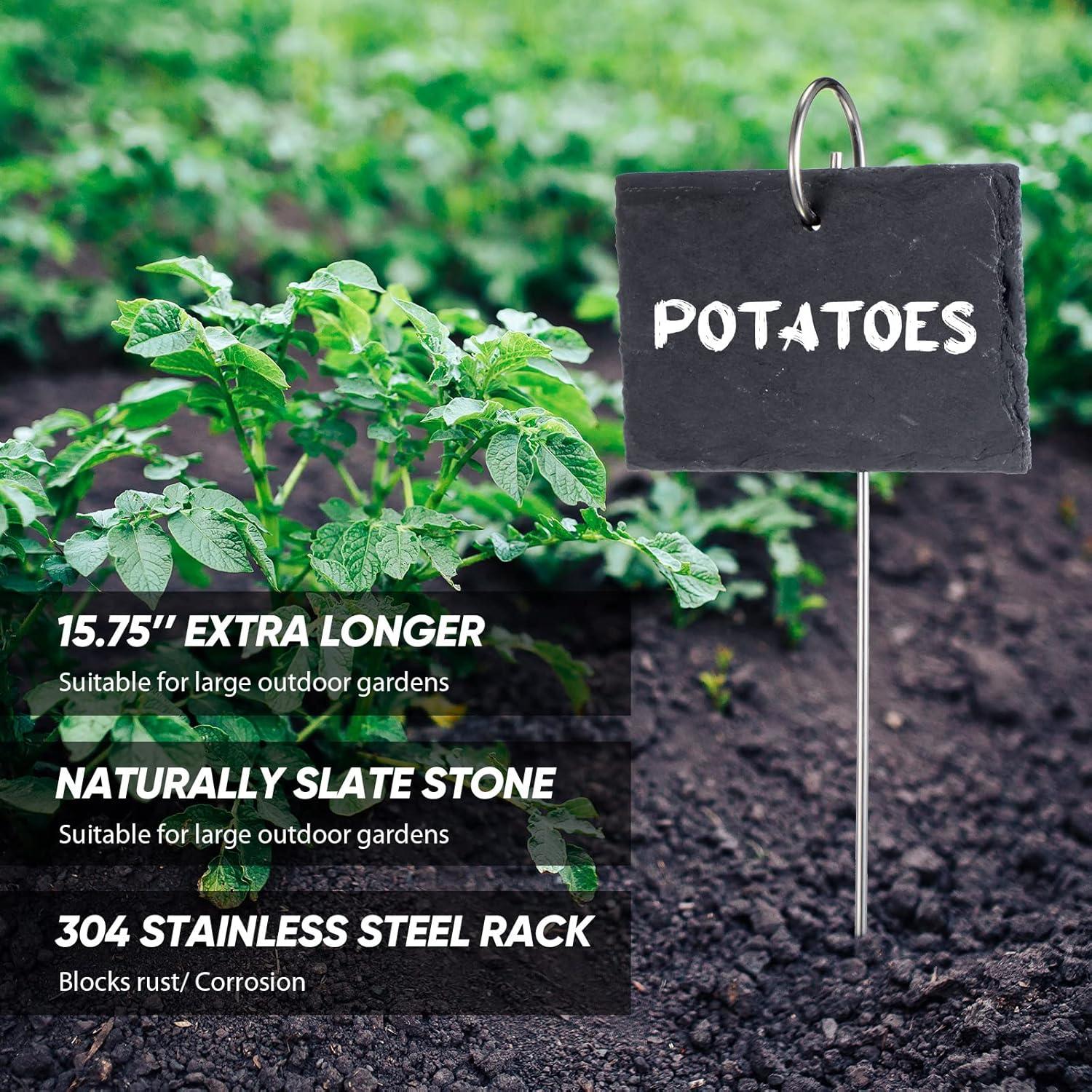 Etiquetas para Plantas LEIFIDE 24 Piezas Reutilizables