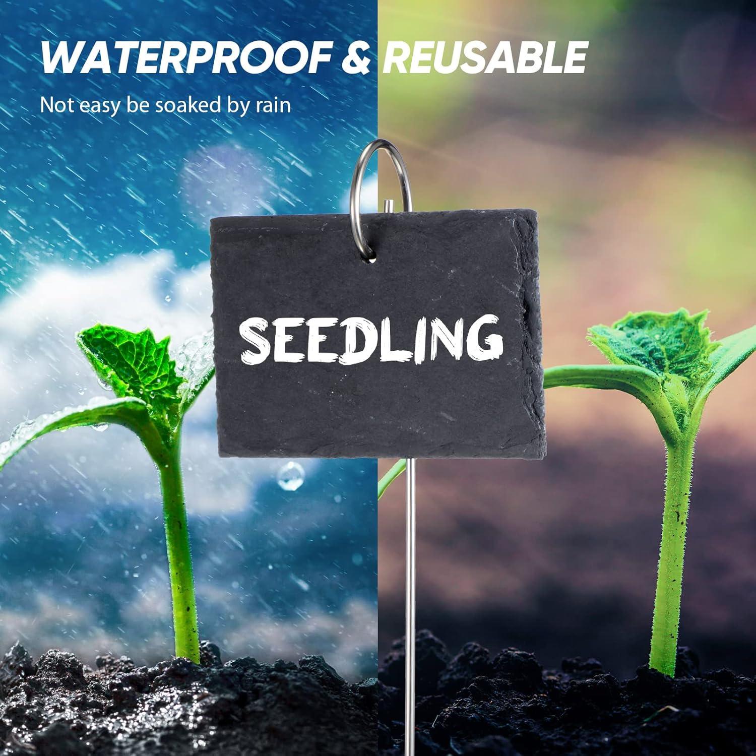 Etiquetas para Plantas LEIFIDE 24 Piezas Reutilizables