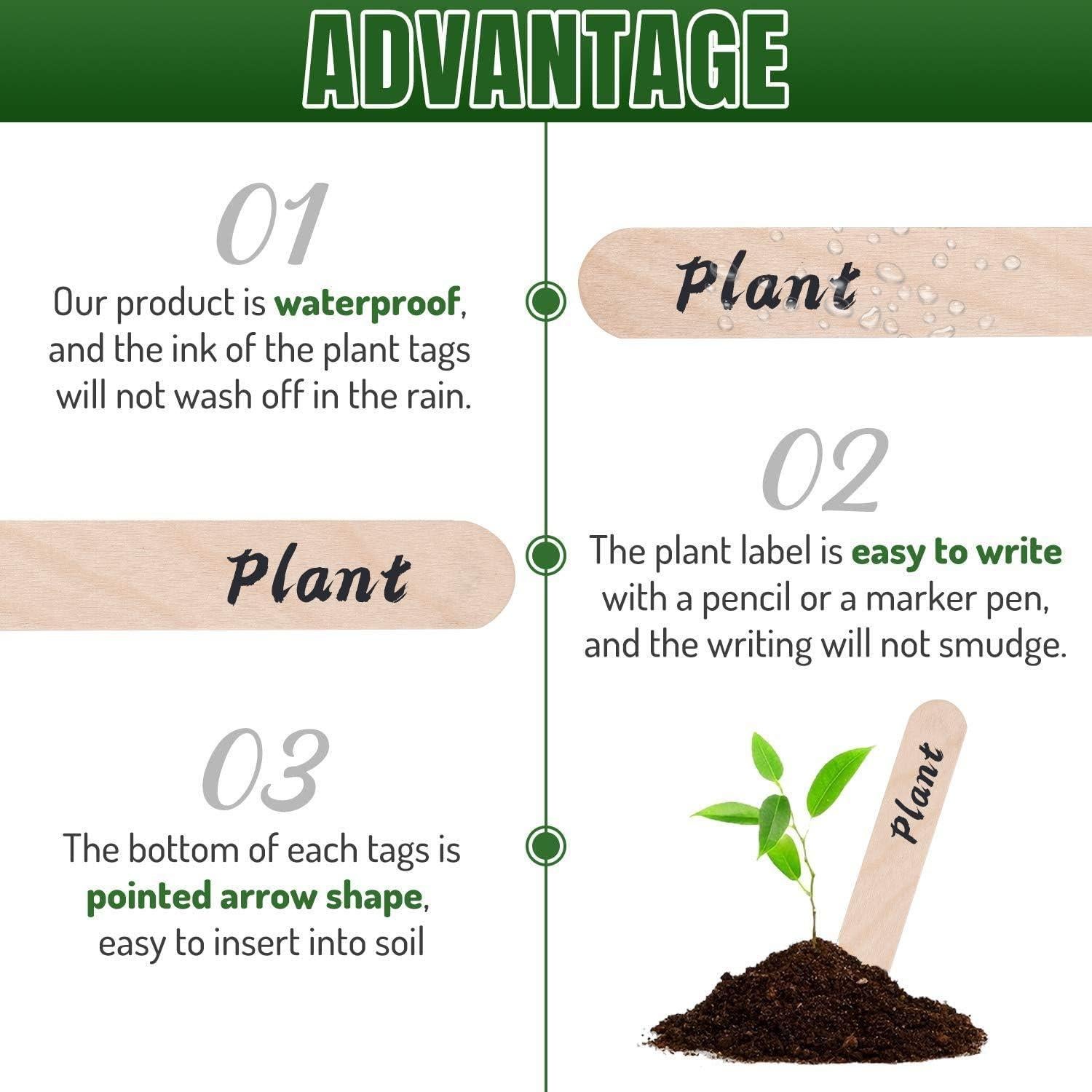 Etiquetas de Plantas de Madera Whaline 200 Pcs 15x1.7 cm