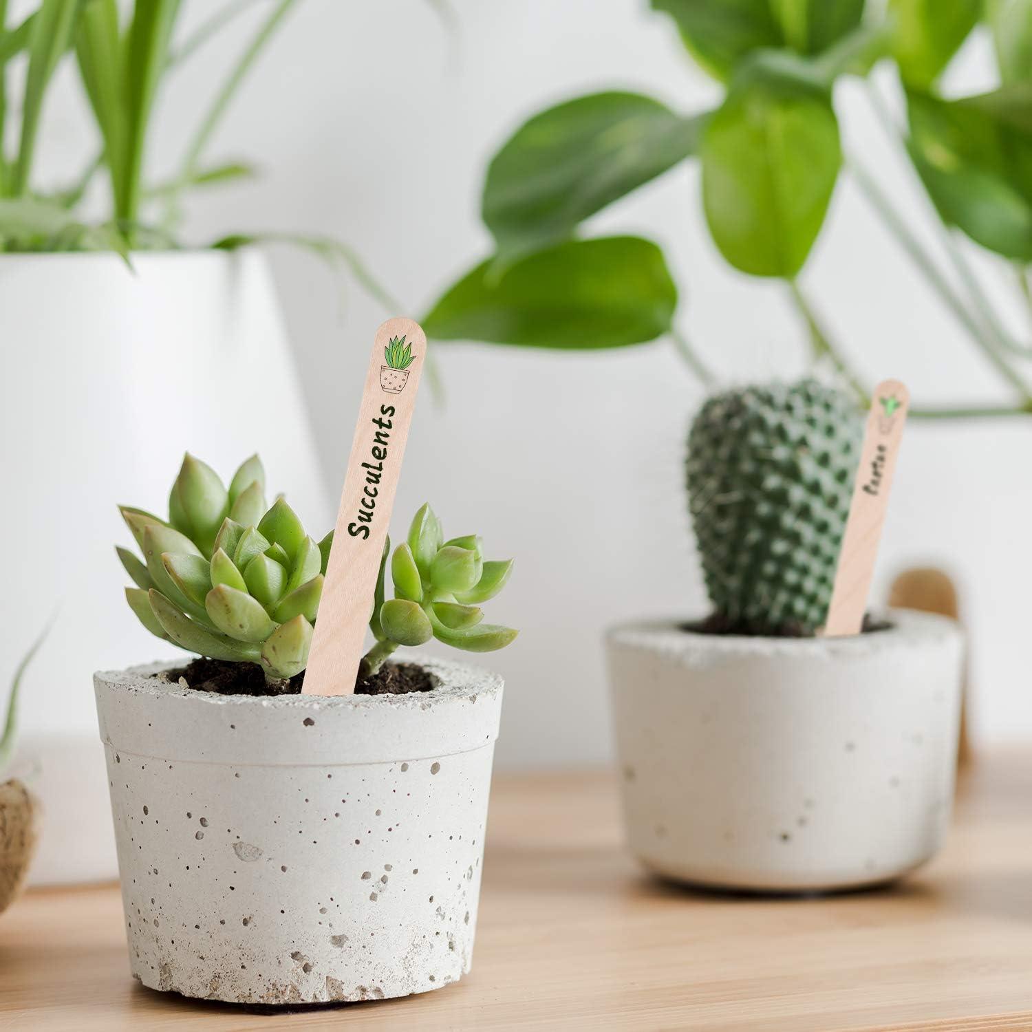 Etiquetas de Plantas de Madera Whaline 200 Pcs 15x1.7 cm