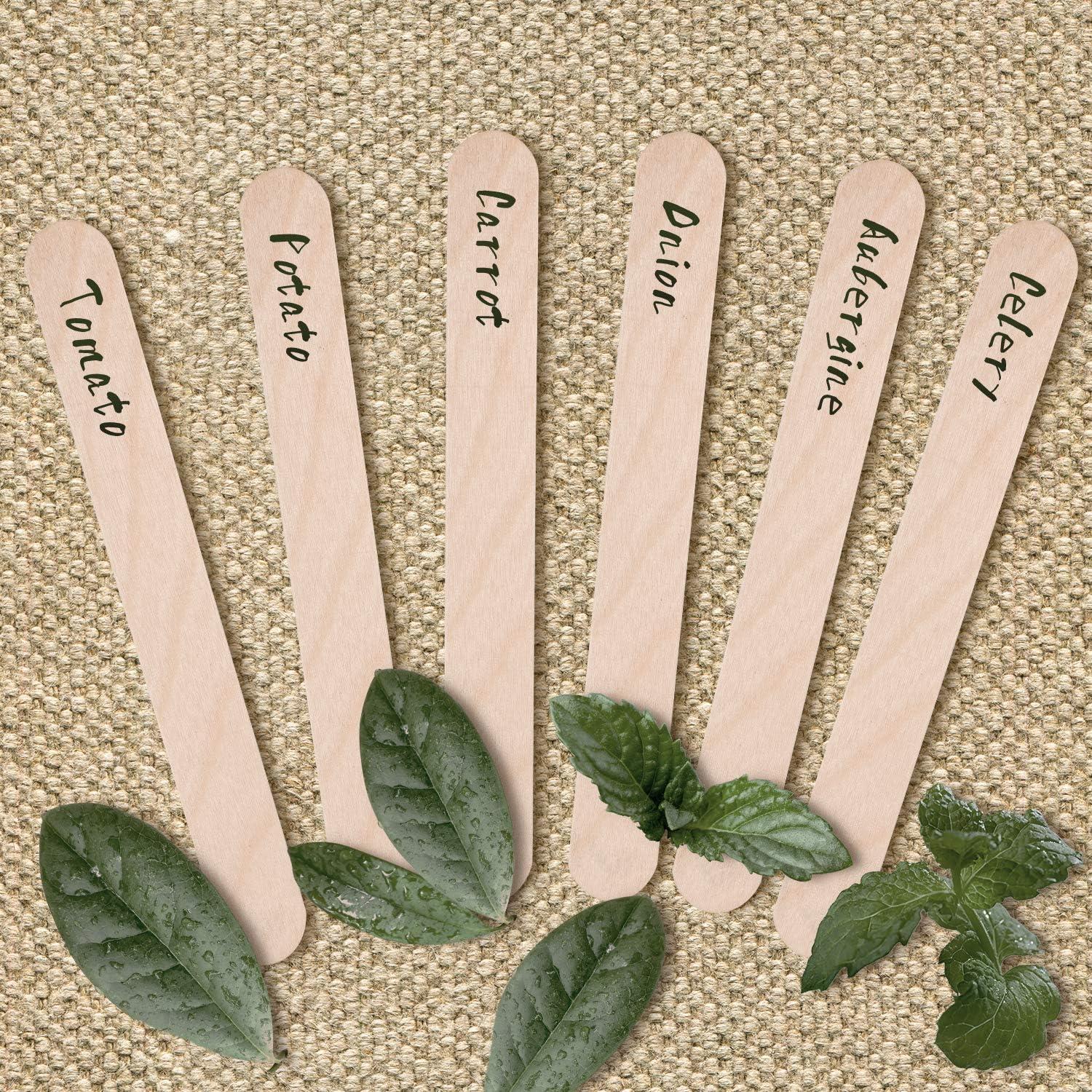Etiquetas de Plantas de Madera Whaline 200 Pcs 15x1.7 cm