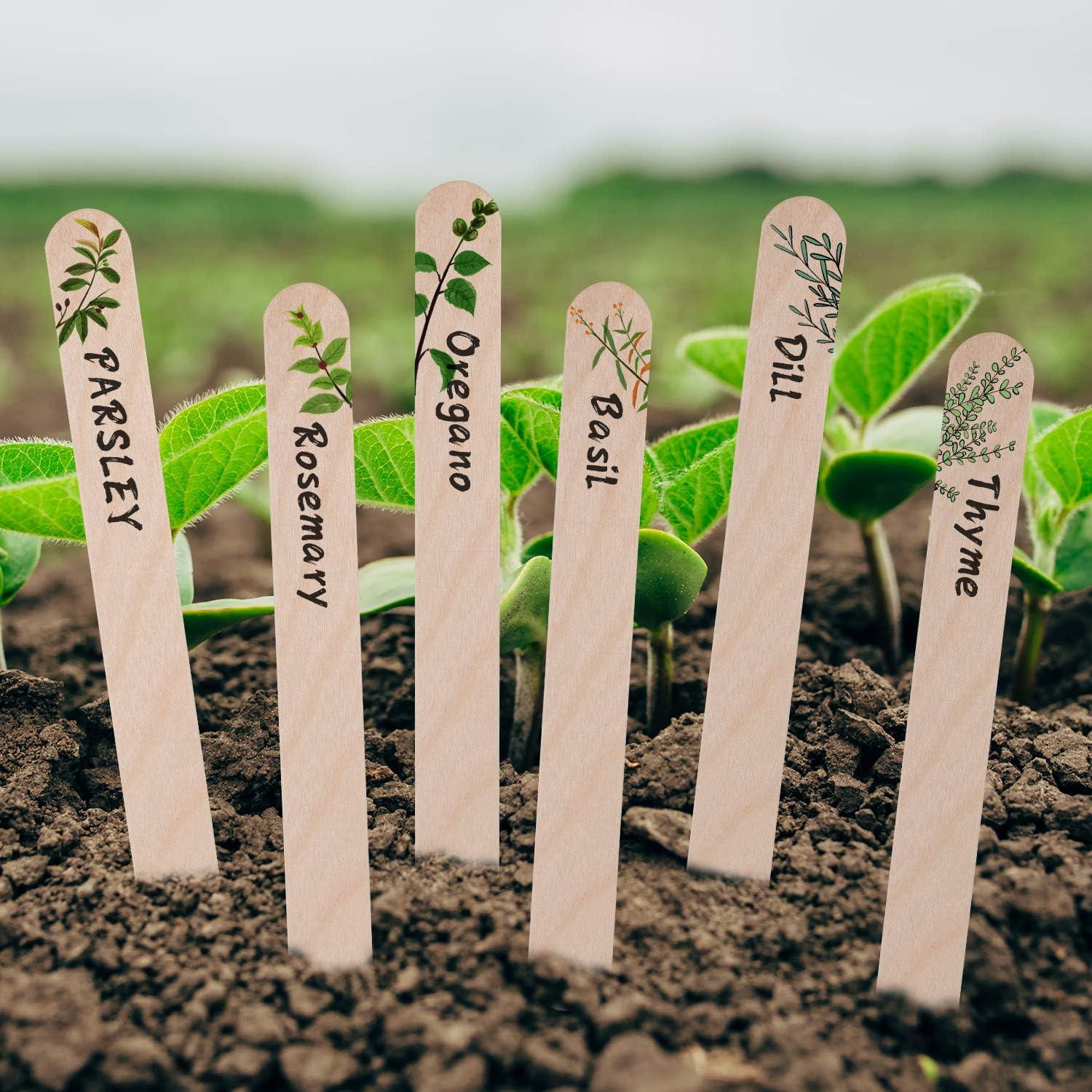 Etiquetas de Plantas de Madera Whaline 200 Pcs 15x1.7 cm