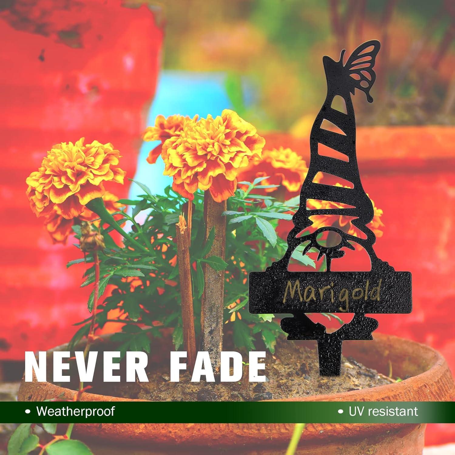 Marcadores de Jardín en Forma de Gnomo ChezMax - Paquete de 4