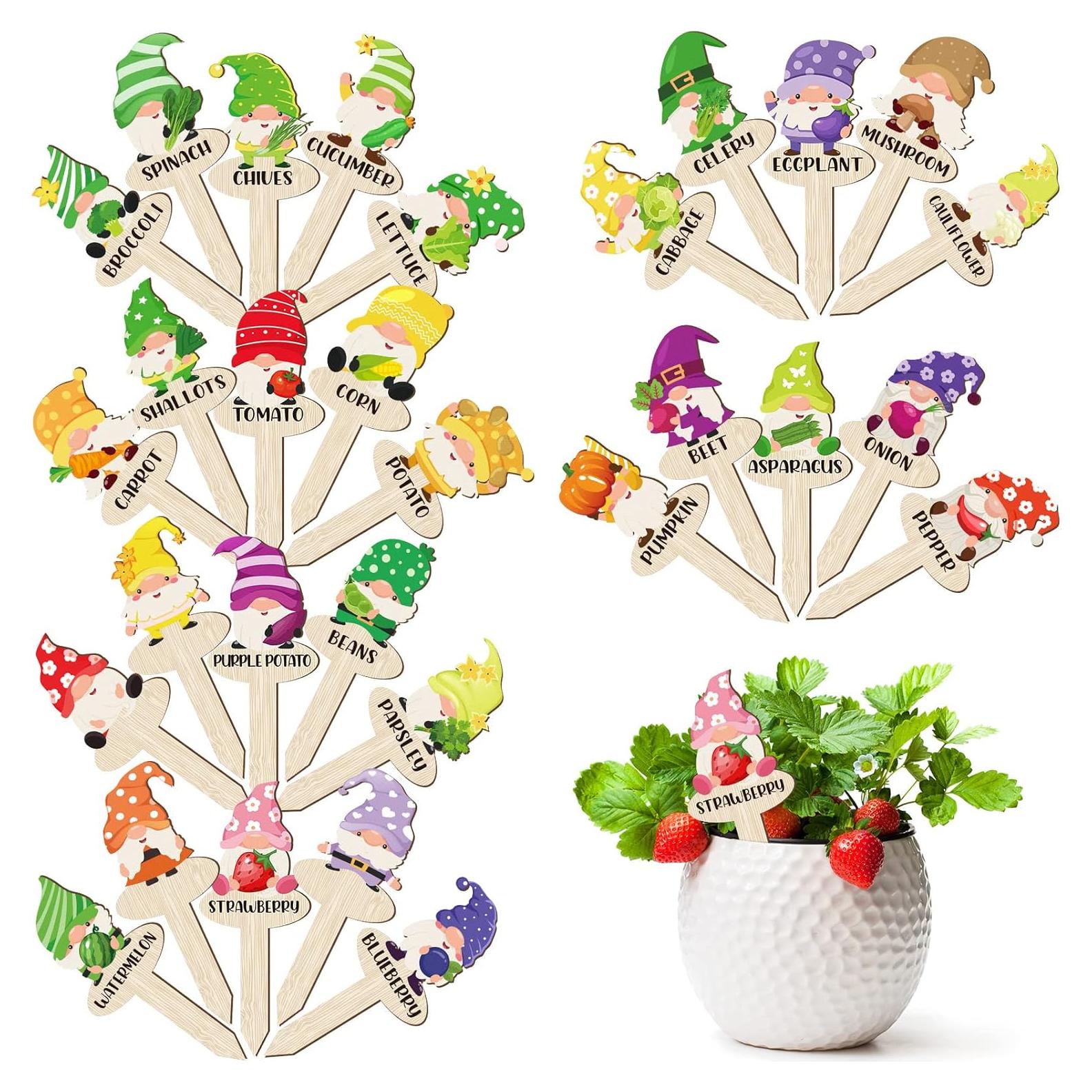 Etiquetas de Jardín de Madera Qunclay - 30 Pcs Gnomos