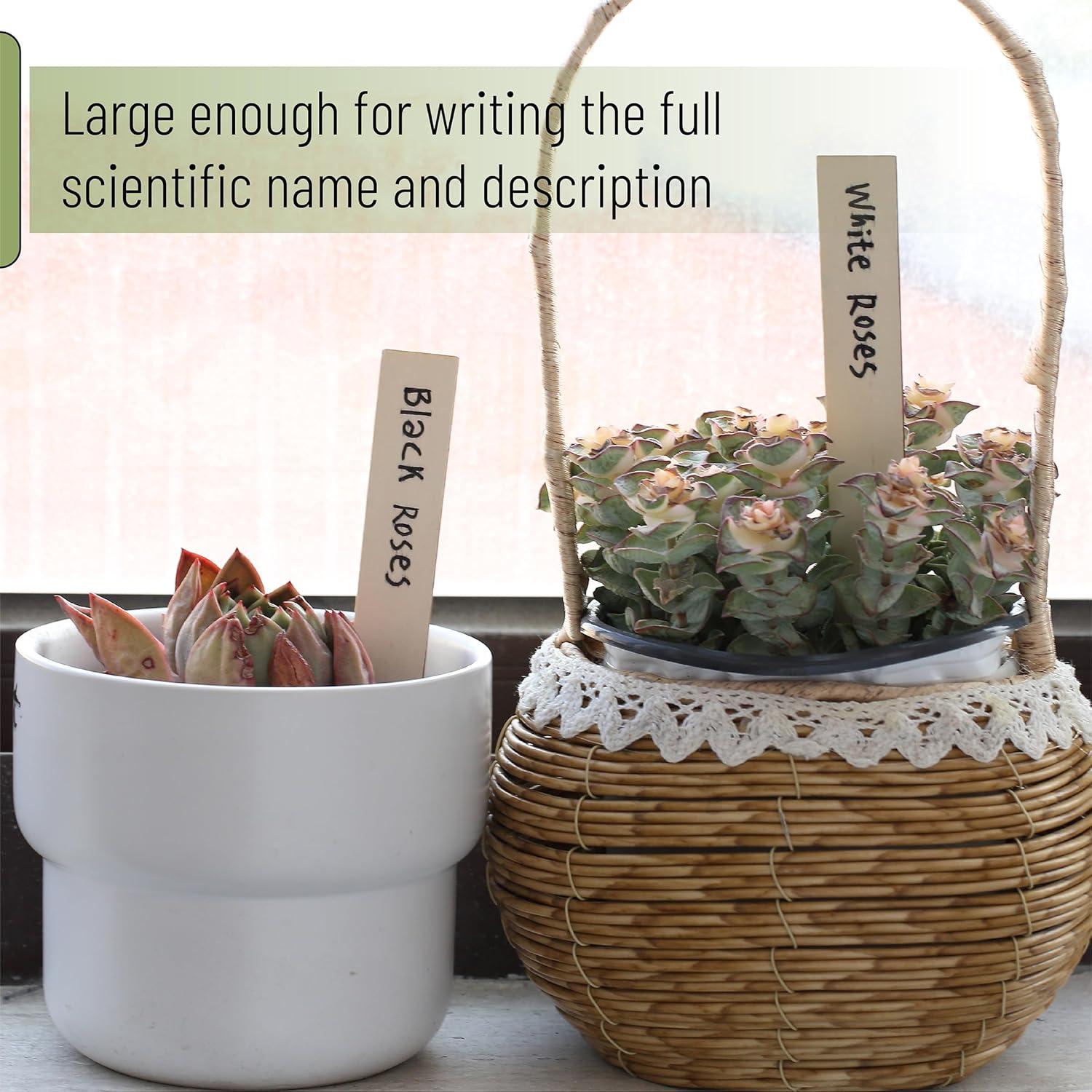 Etiquetas de Madera para Plantas Mr. Pen - 100 Pcs, 15.24 cm