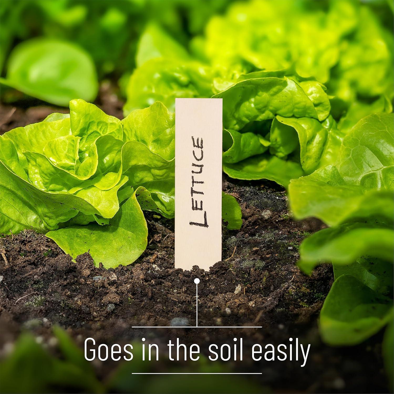 Etiquetas de Madera para Plantas Mr. Pen - 100 Pcs, 15.24 cm