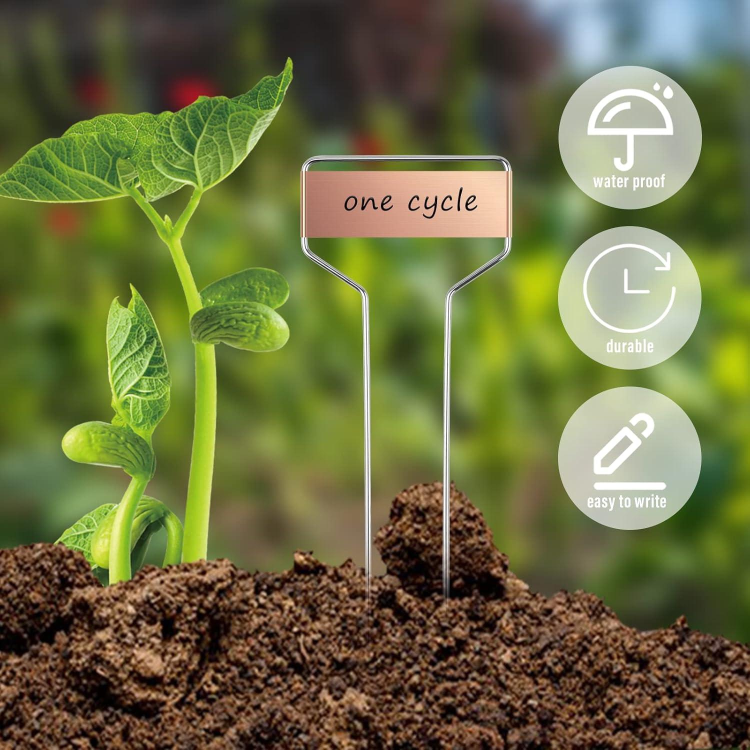 Etiquetas de Jardín Geilihome de Cobre - 30PCS Reutilizables