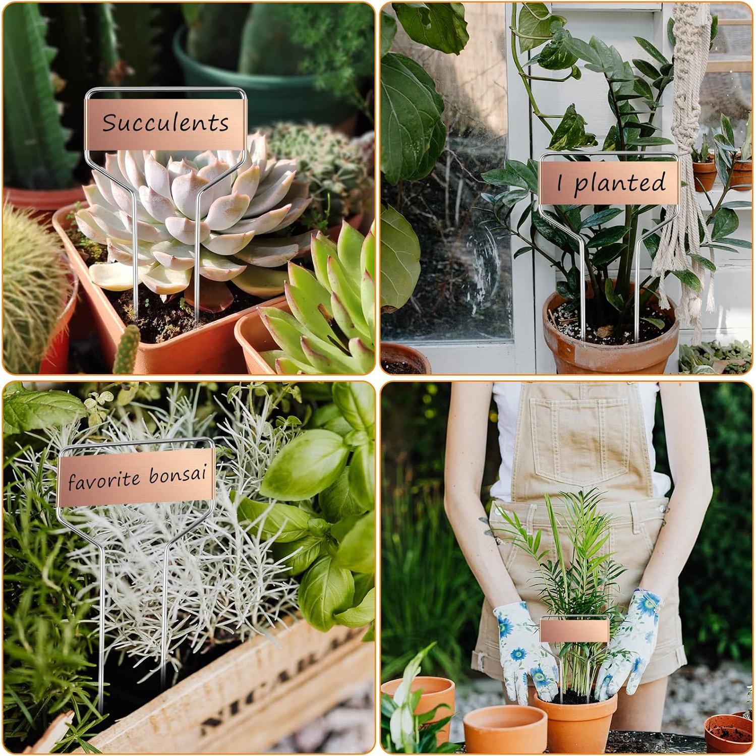 Etiquetas de Jardín Geilihome de Cobre - 30PCS Reutilizables