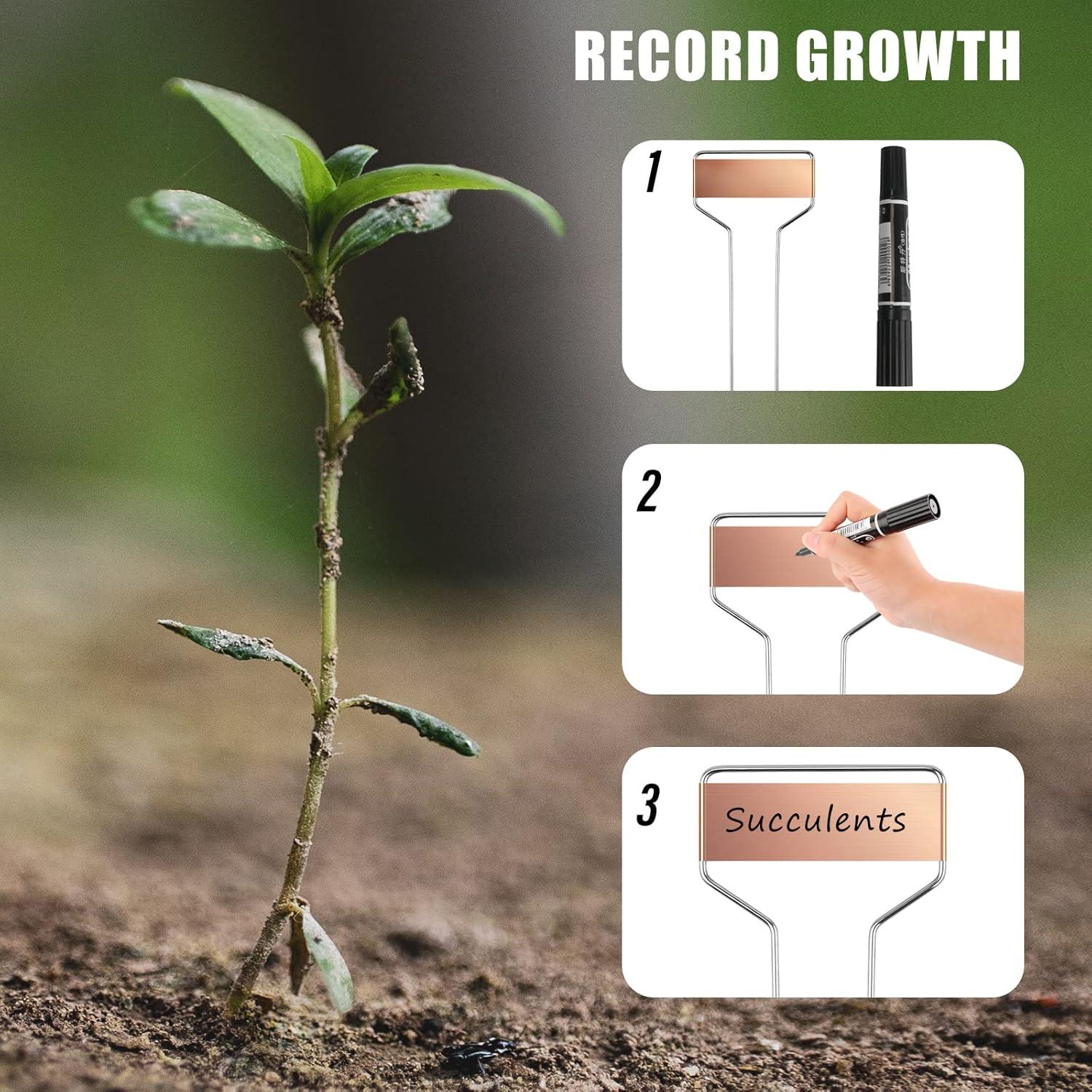 Etiquetas de Jardín Geilihome de Cobre - 30PCS Reutilizables