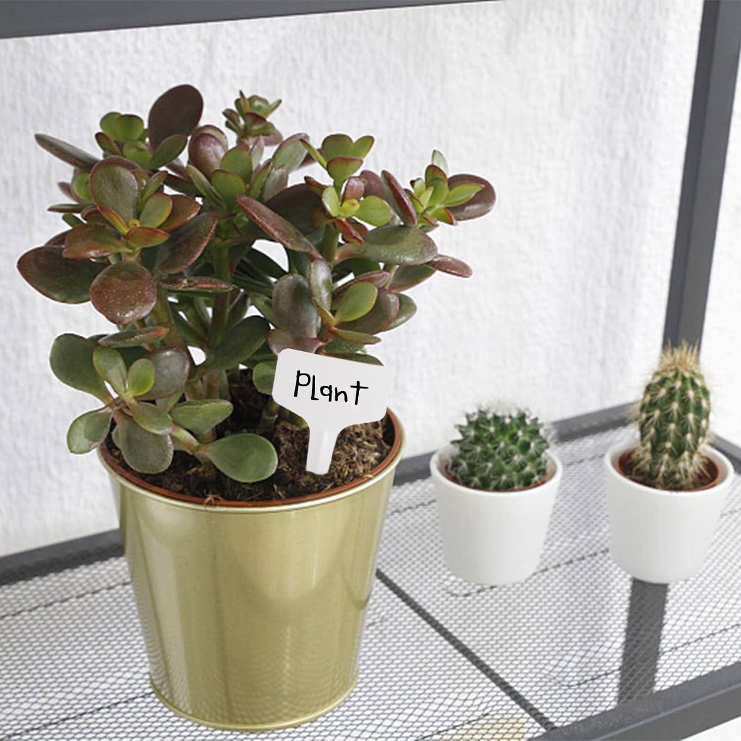 Etiquetas de Plantas Tipo T Foraineam 500 Pcs 6x10cm