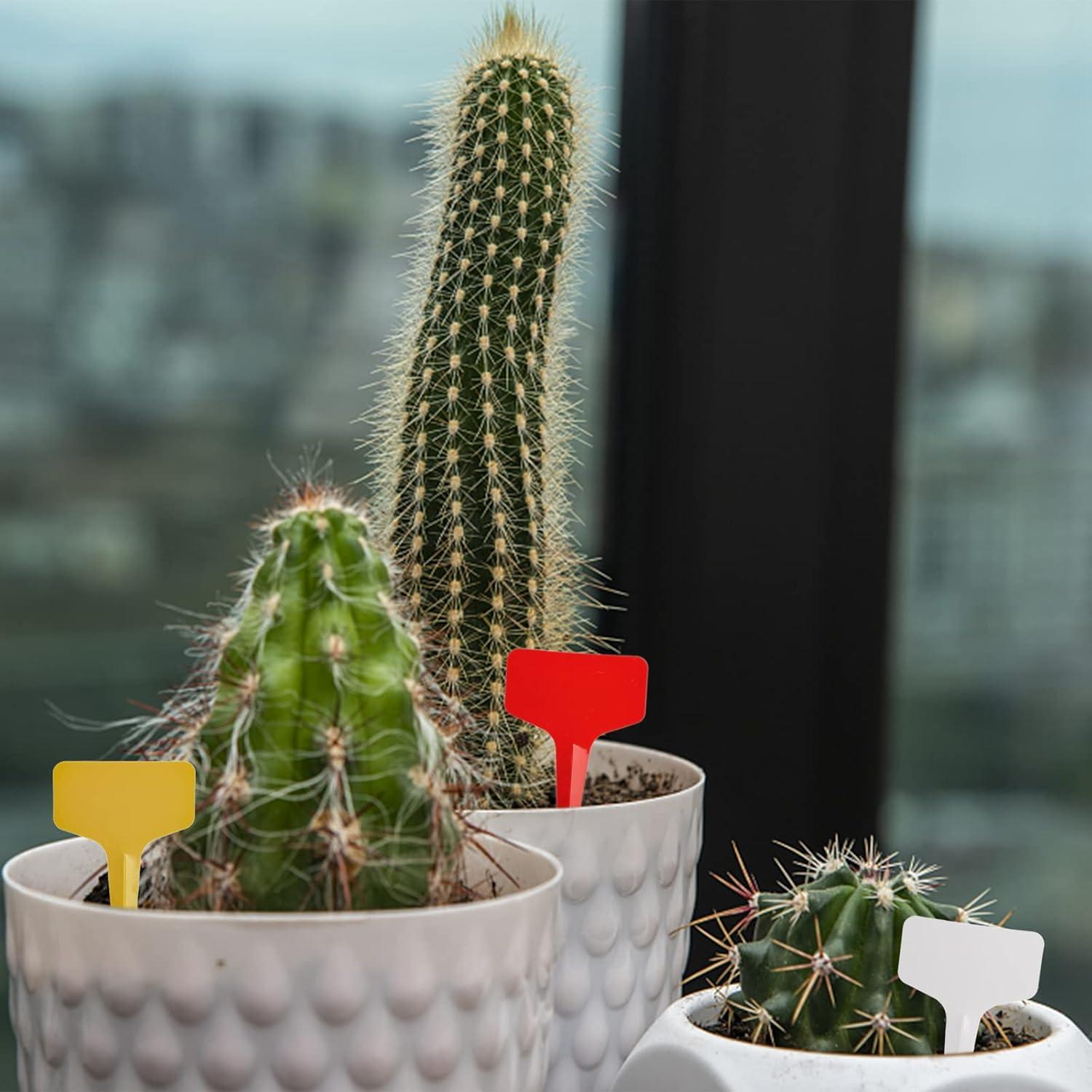 Etiquetas de Plantas Tipo T Foraineam 500 Pcs 6x10cm