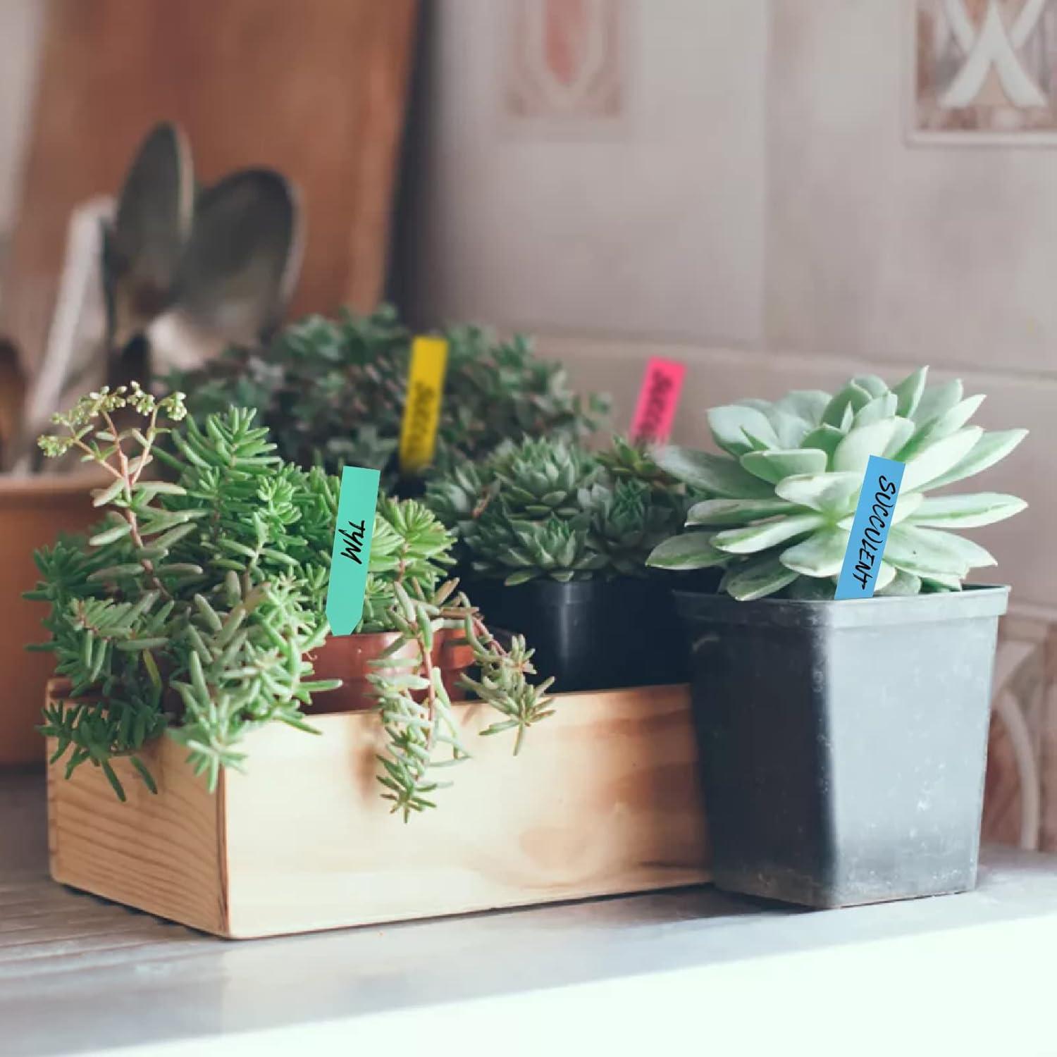 Etiquetas para Plantas 600 Pcs 10 cm PVC Impermeable Foraineam