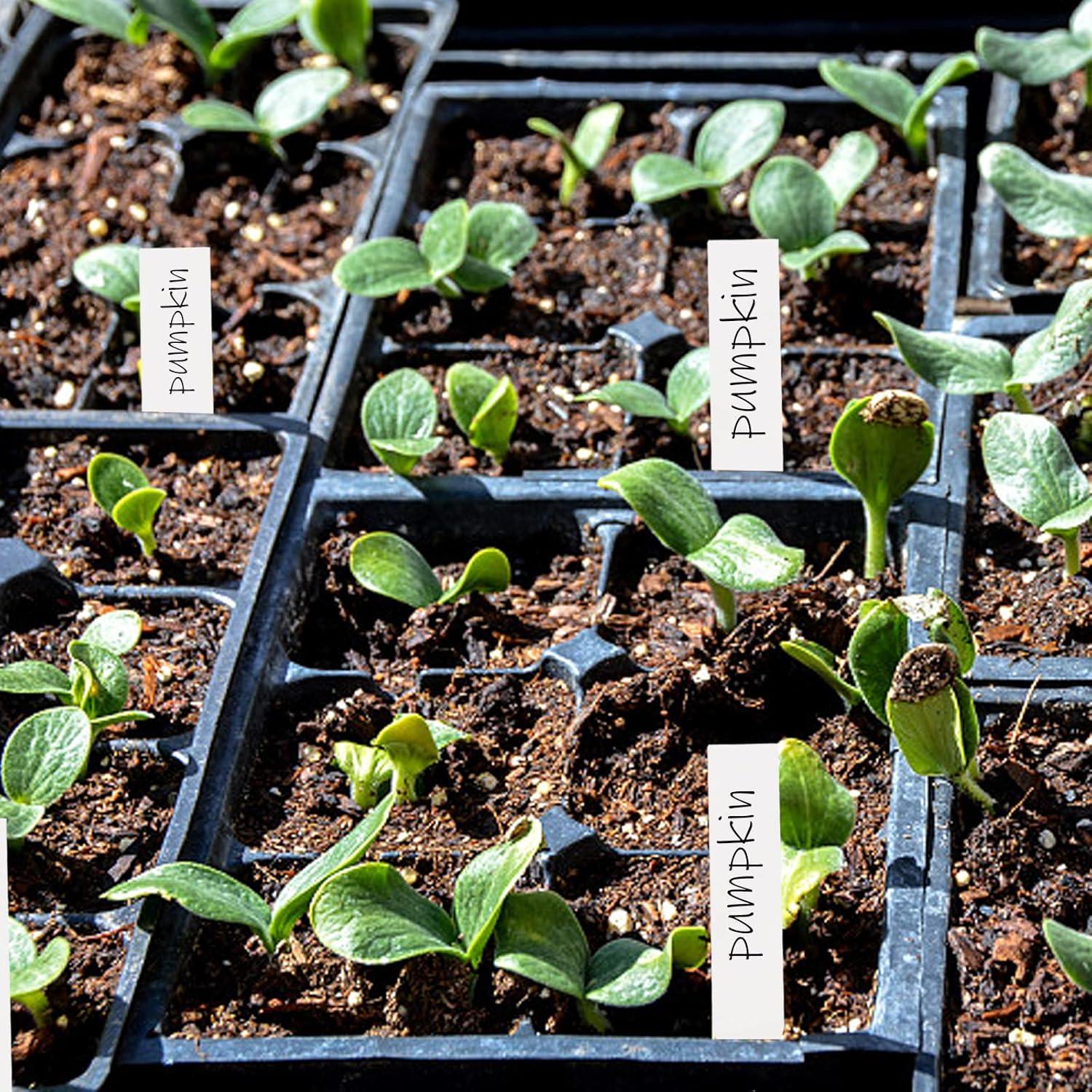 Etiquetas para Plantas 600 Pcs 10 cm PVC Impermeable Foraineam