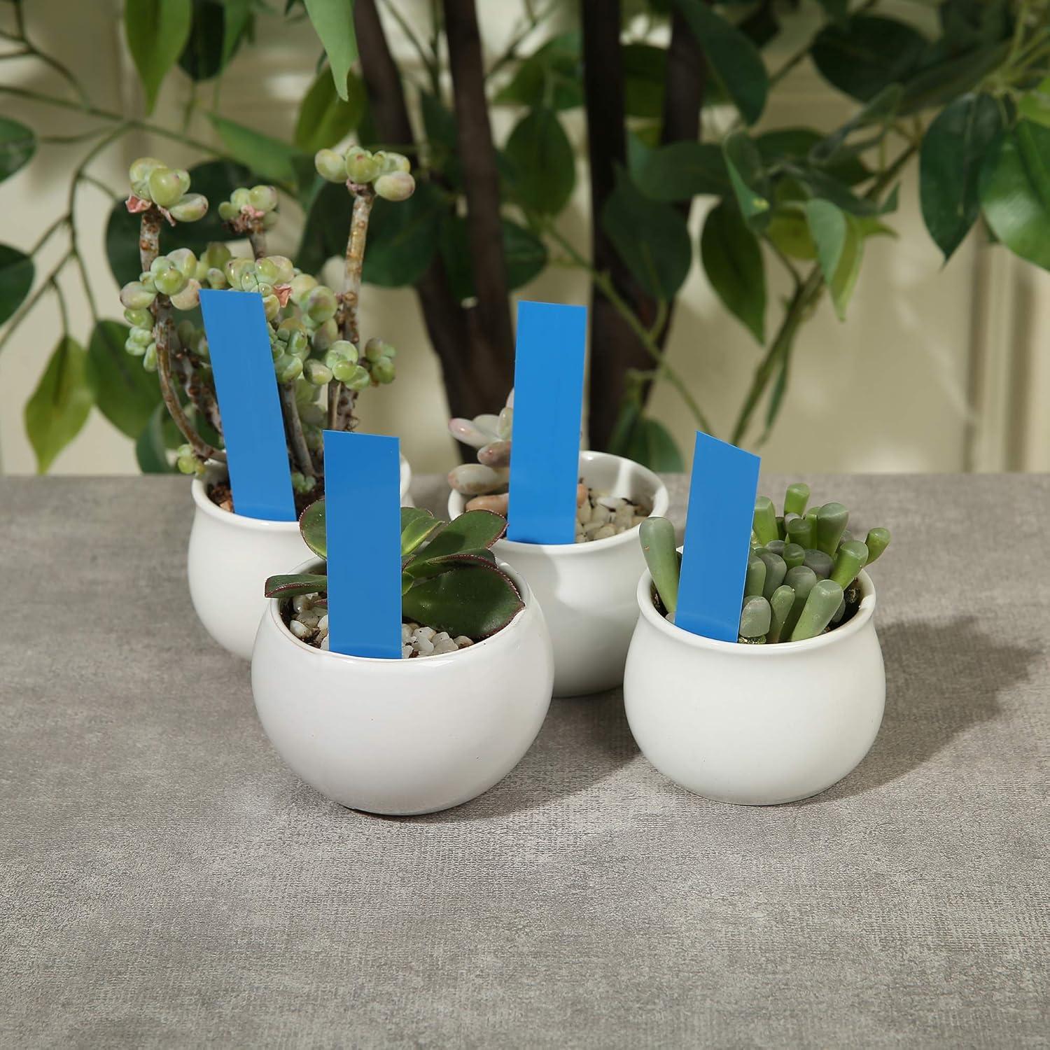 Etiquetas de Plantas DOMG 1000 Pcs 10x2 cm Plástico Azul