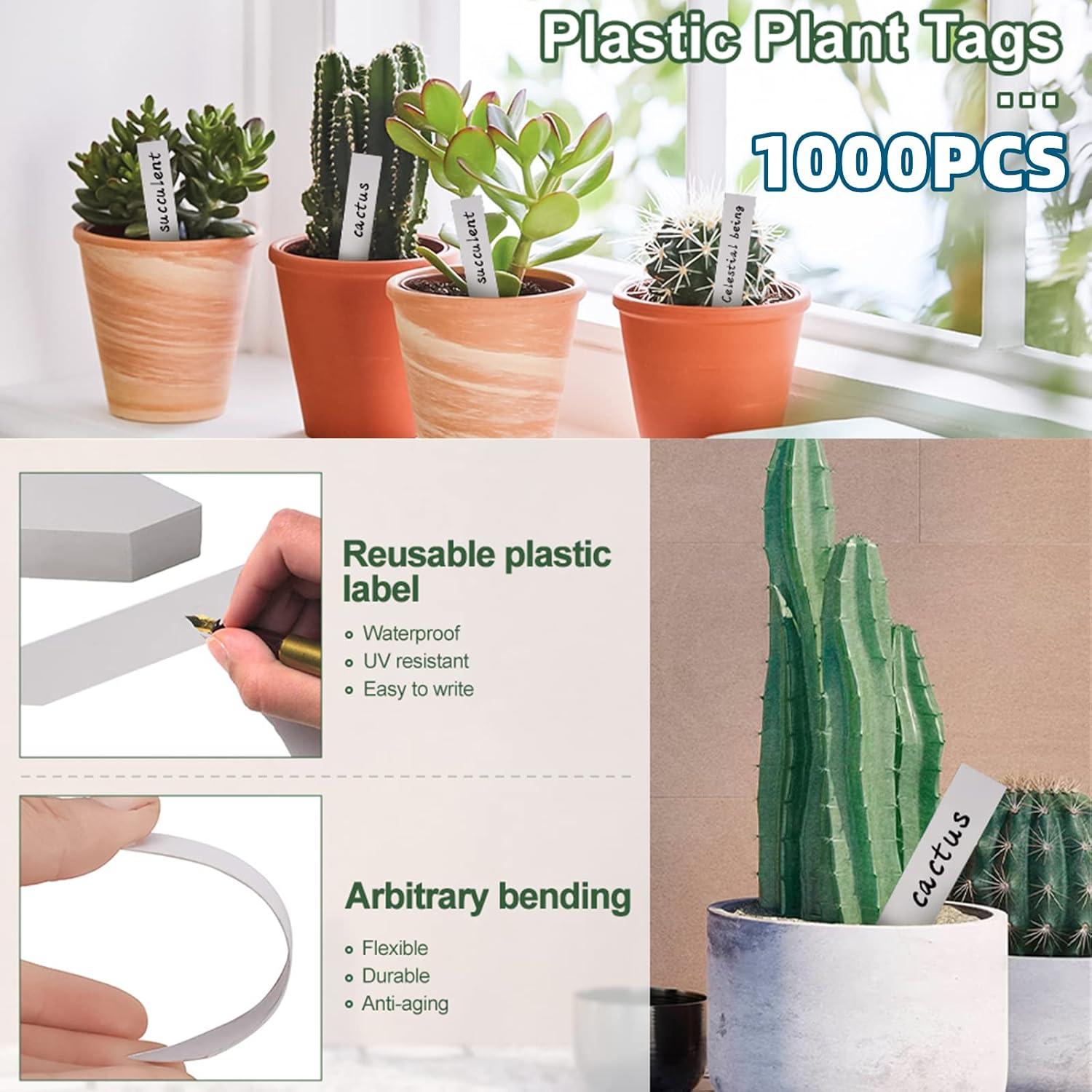 Etiquetas de Plantas YaeCCC 1000 Pcs 10x2 cm Blancas