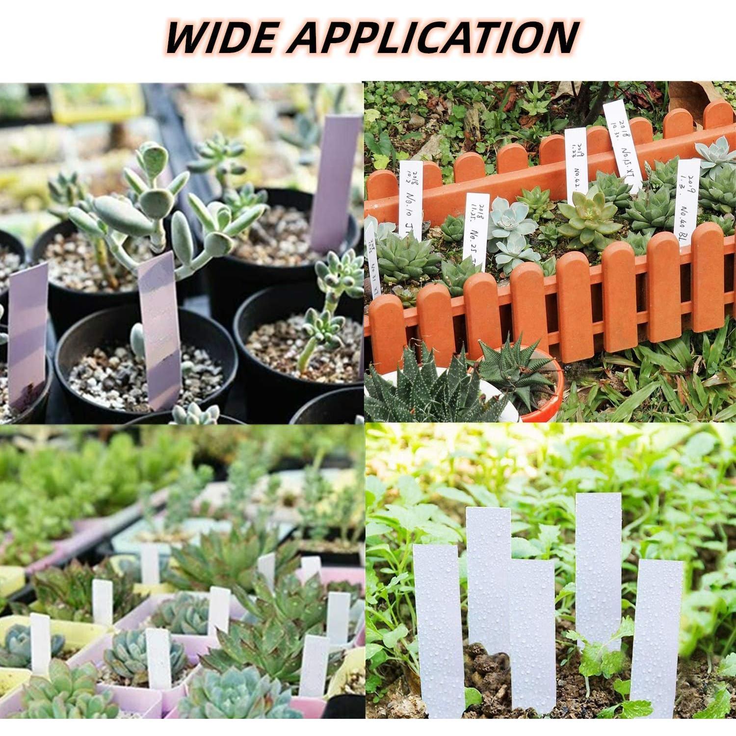 Etiquetas de Plantas YaeCCC 1000 Pcs 10x2 cm Blancas