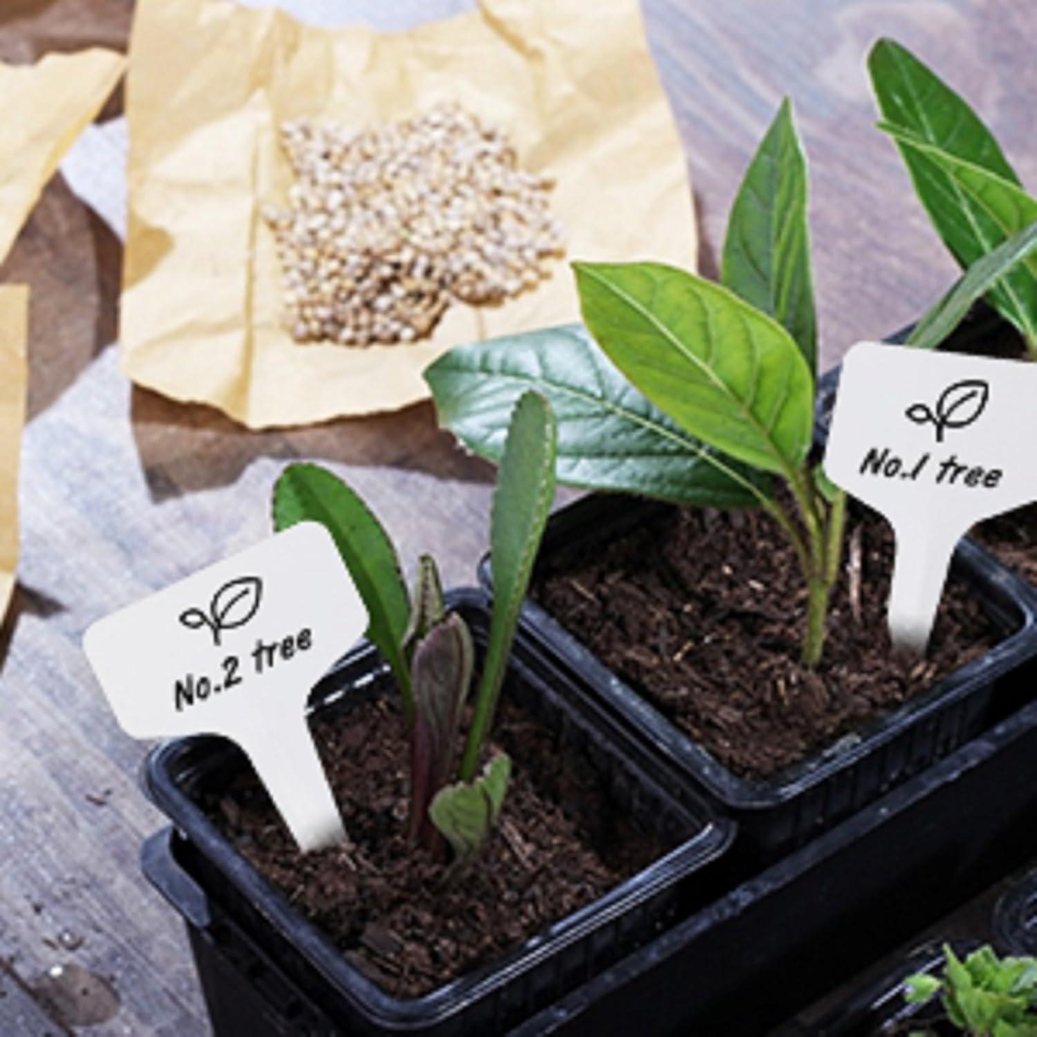 Etiquetas de Jardín KINGLAKE 200 Pcs Plástico Impermeables