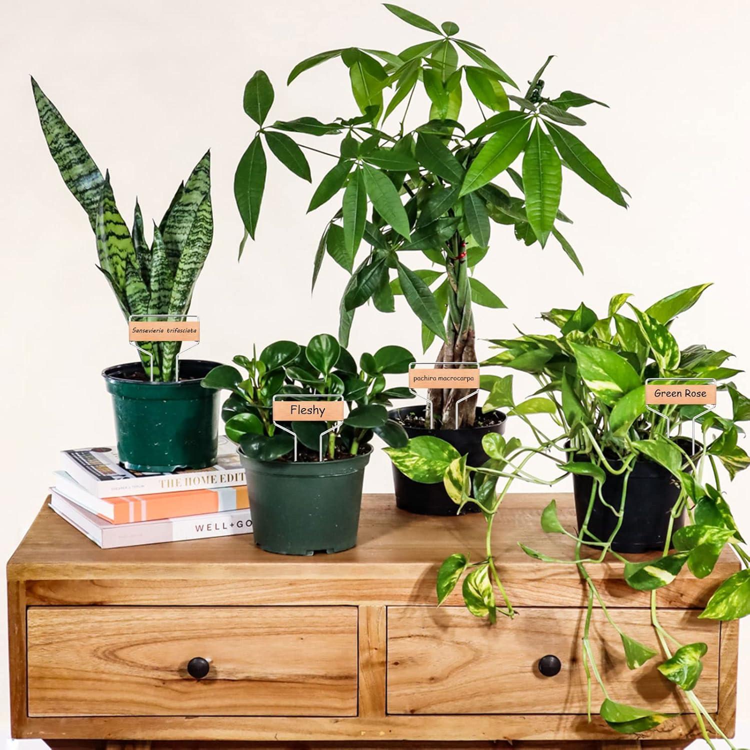 50 Etiquetas de Cobre para Plantas APACALI 10 cm Reutilizables