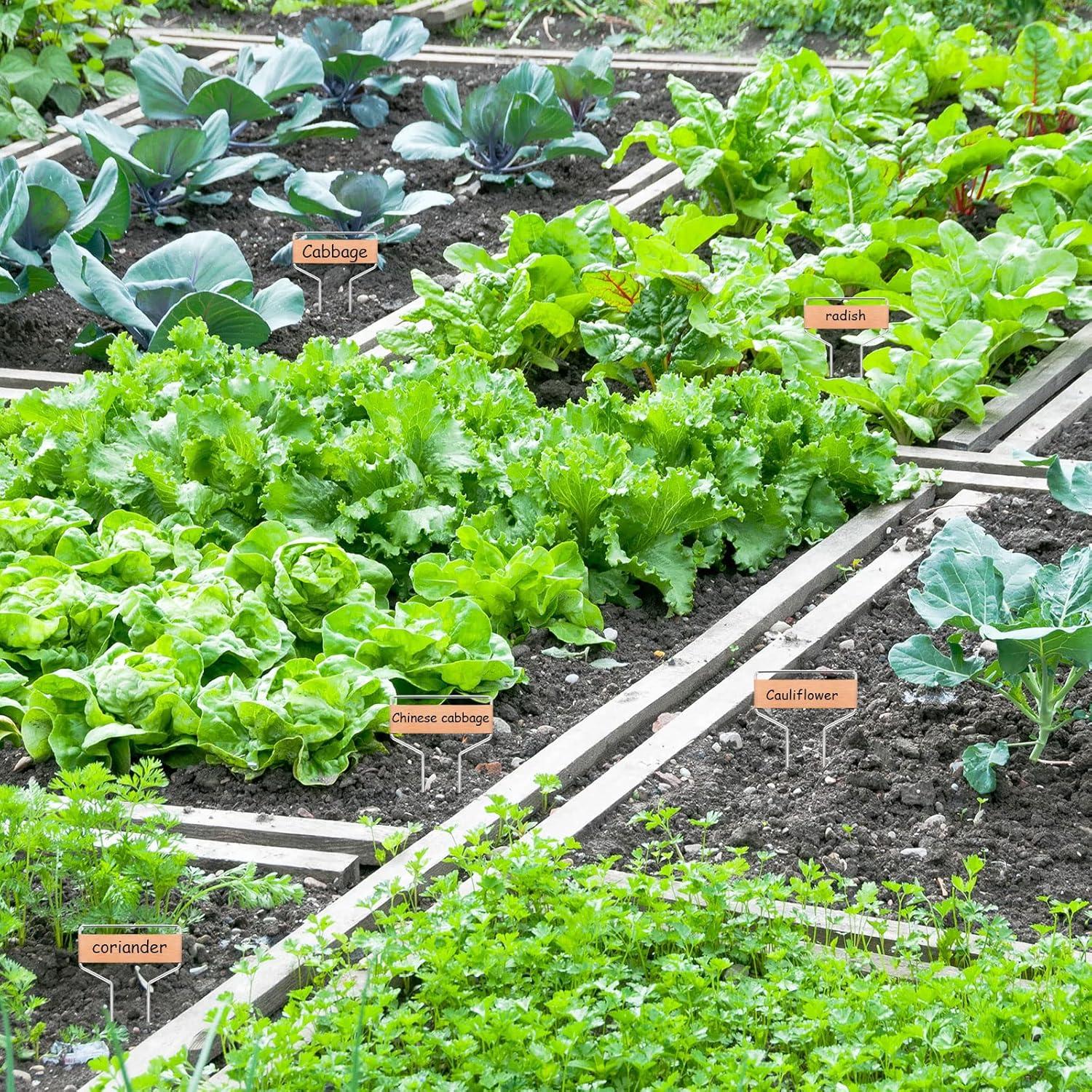 50 Etiquetas de Cobre para Plantas APACALI 10 cm Reutilizables