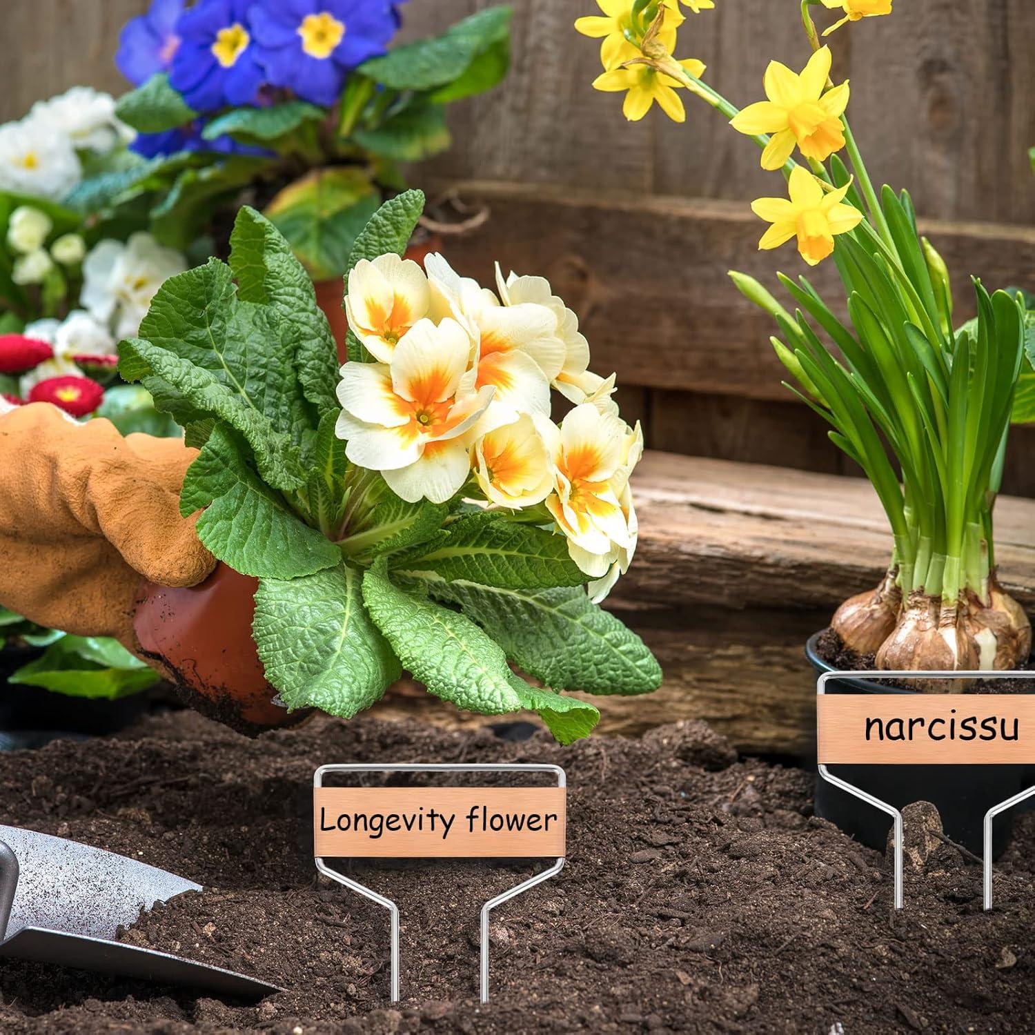 50 Etiquetas de Cobre para Plantas APACALI 10 cm Reutilizables