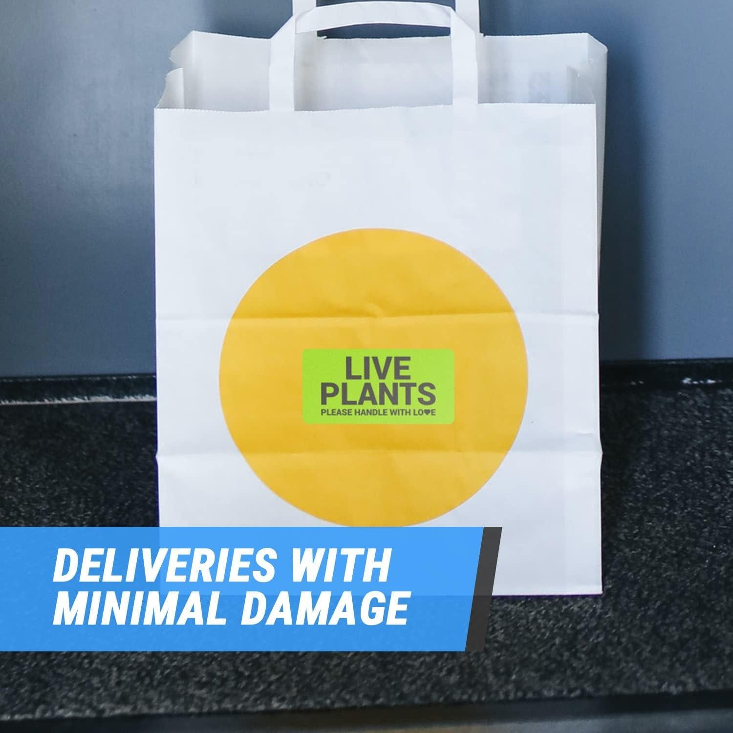 Etiquetas de Plantas Vivas OfficeSmartLabels 300 Unidades Verde