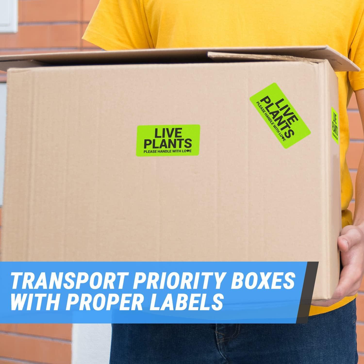 Etiquetas de Plantas Vivas OfficeSmartLabels 300 Unidades Verde