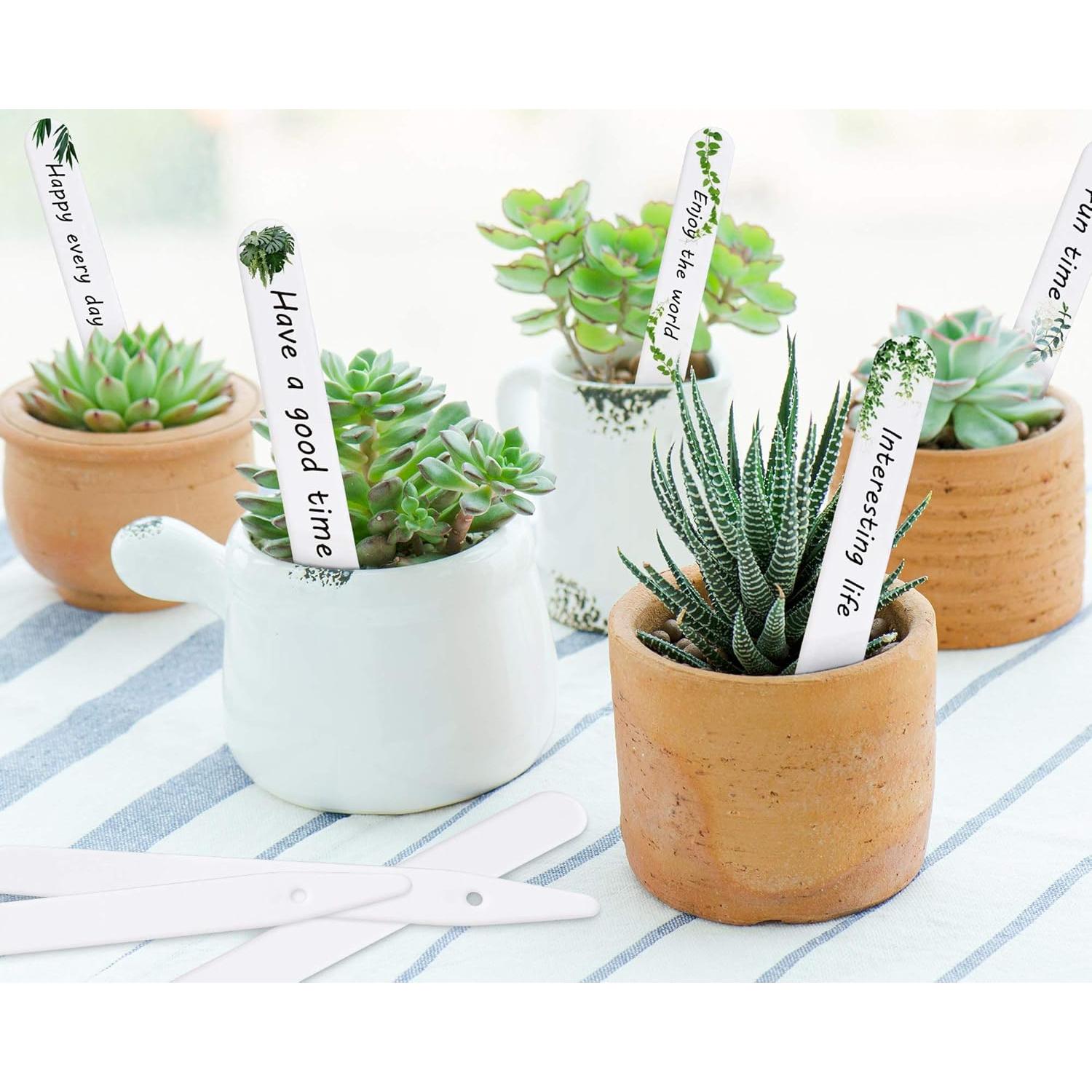 Etiquetas para Plantas Whaline 200 Pcs Blancas 15.24 cm