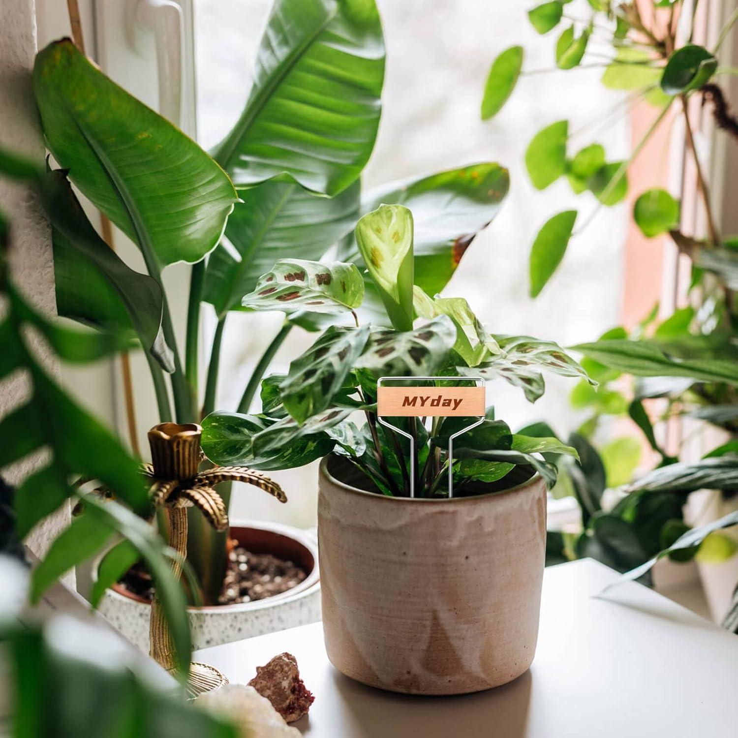 40 Etiquetas de Metal para Plantas LOEQIAN 25.5 cm Cobre