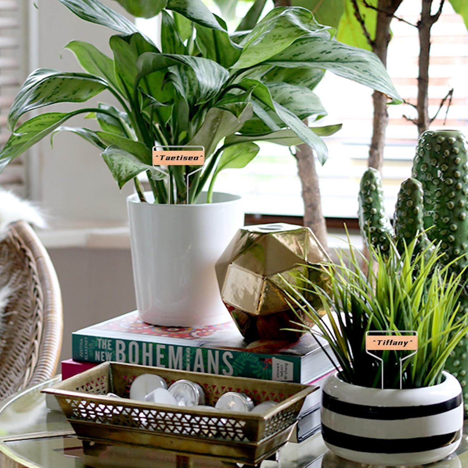 40 Etiquetas de Metal para Plantas LOEQIAN 25.5 cm Cobre