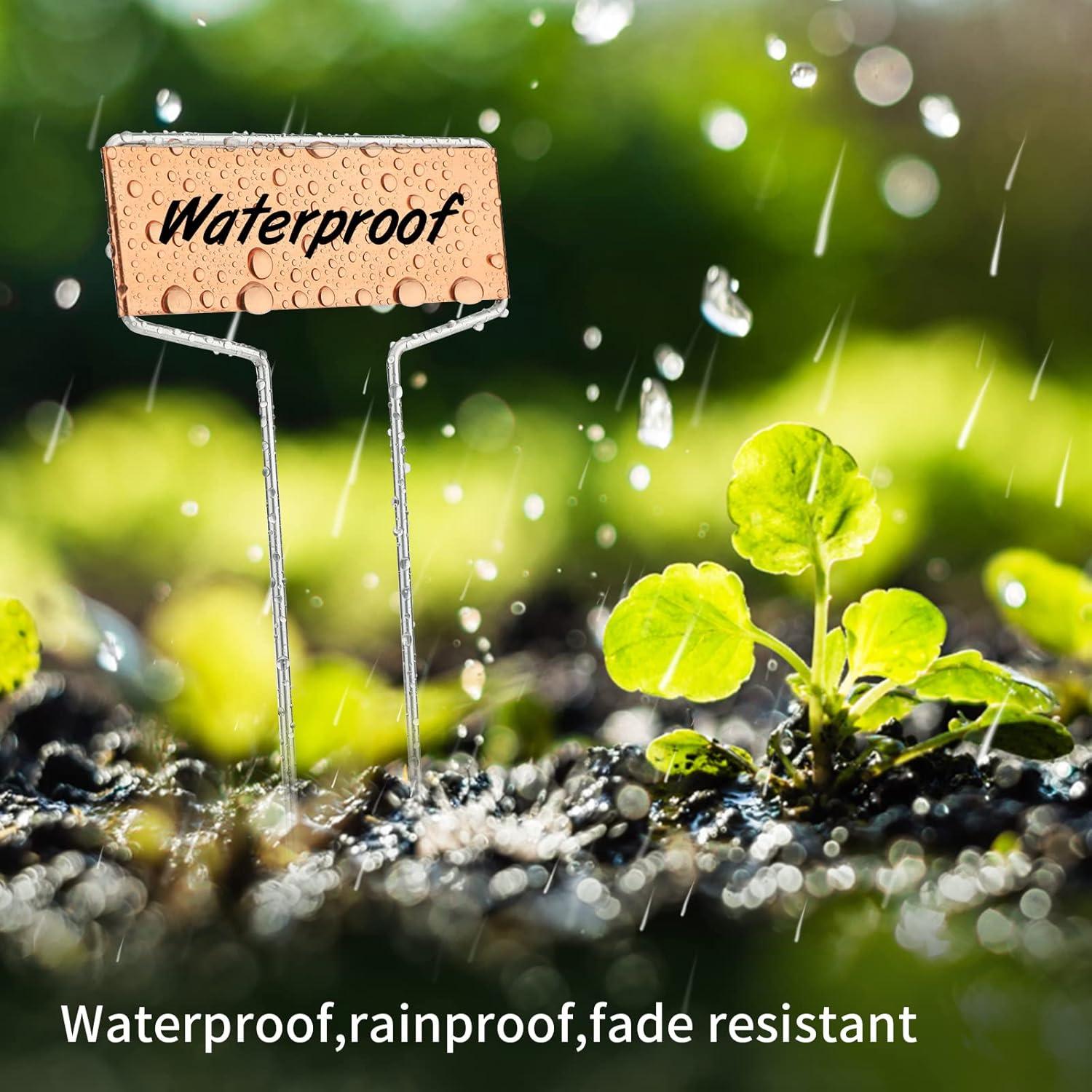 Etiquetas de Metal para Plantas Kinglake Garden - Paquete de 20