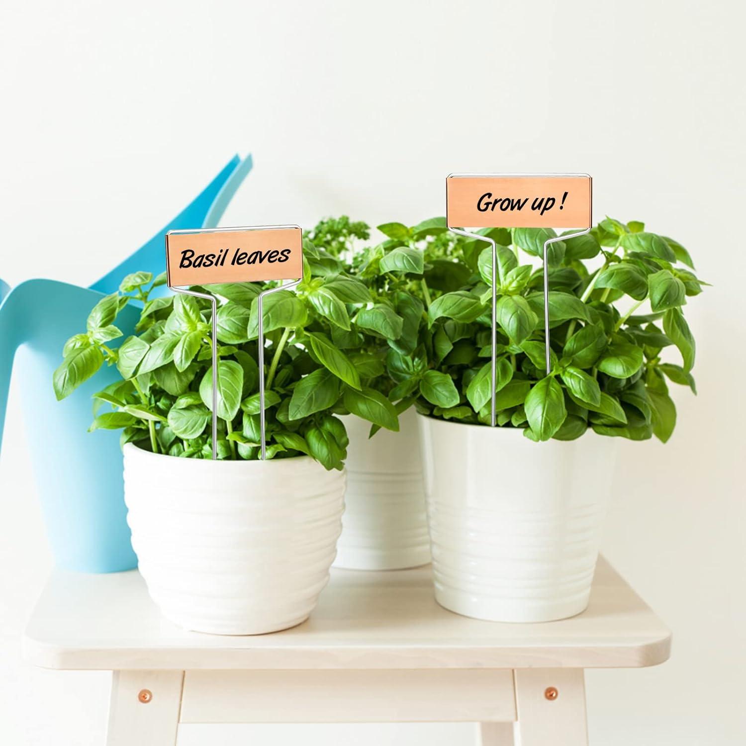 Etiquetas de Metal para Plantas Kinglake Garden - Paquete de 20