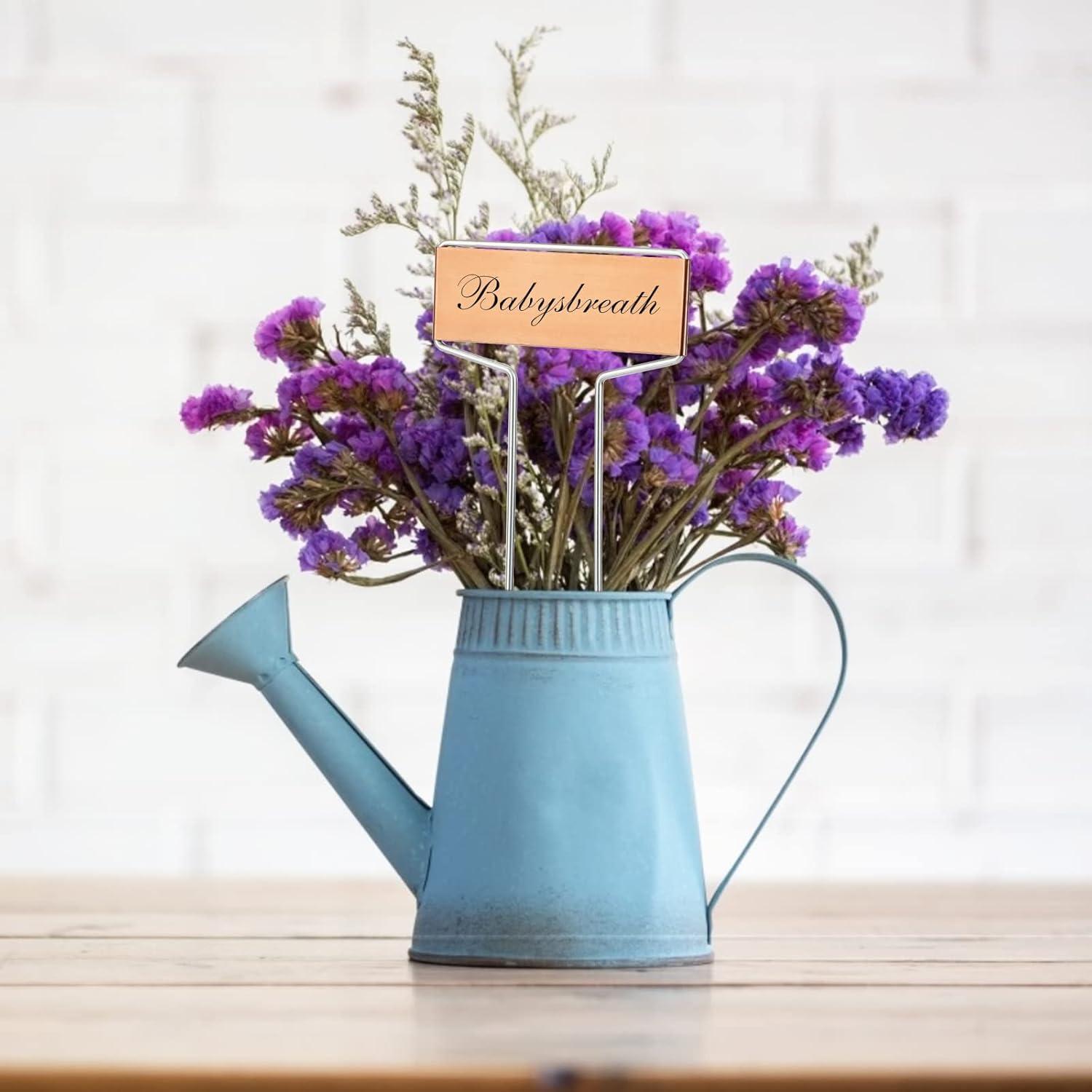 Etiquetas de Metal para Plantas Kinglake Garden - Paquete de 20