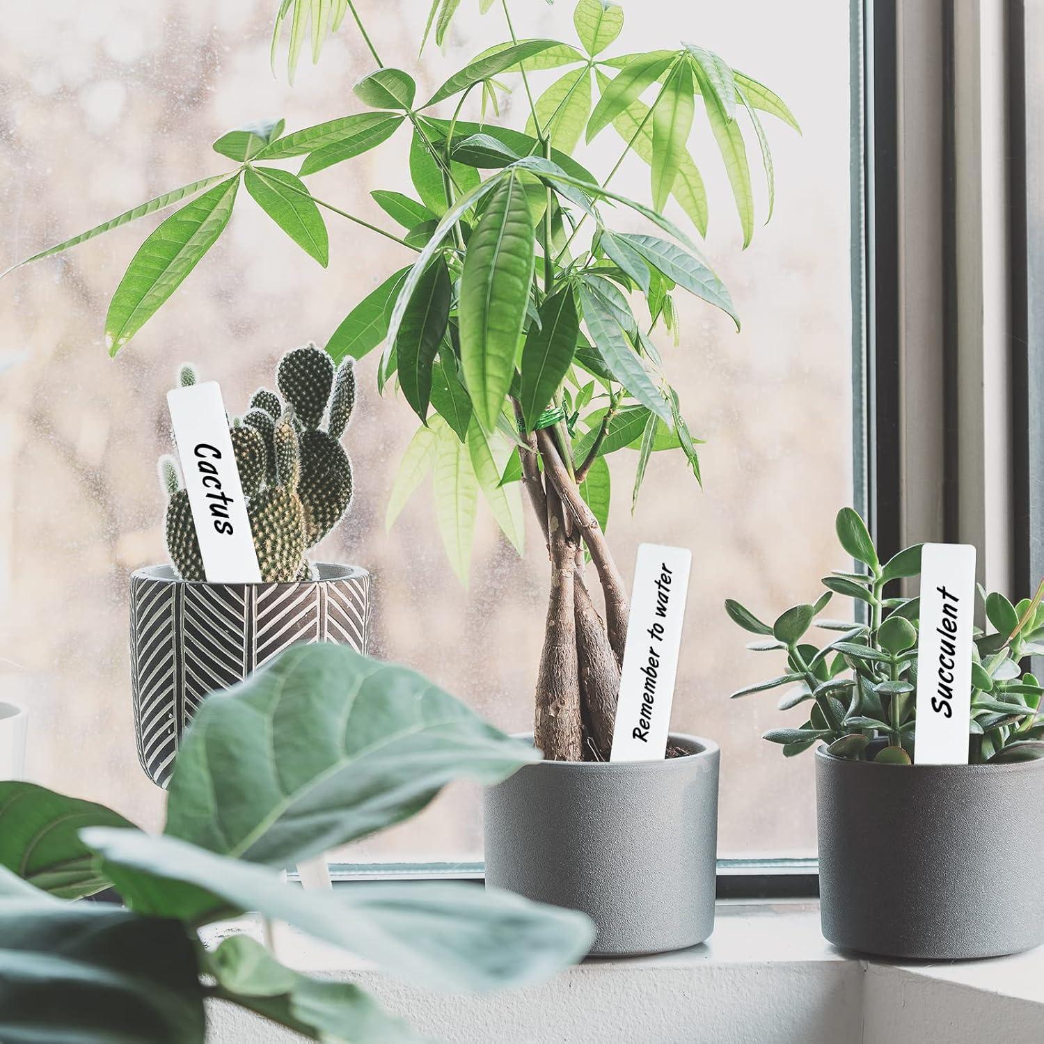 Etiquetas de Jardín KINGLAKE 600 Pcs 2x10 cm PVC Blancas