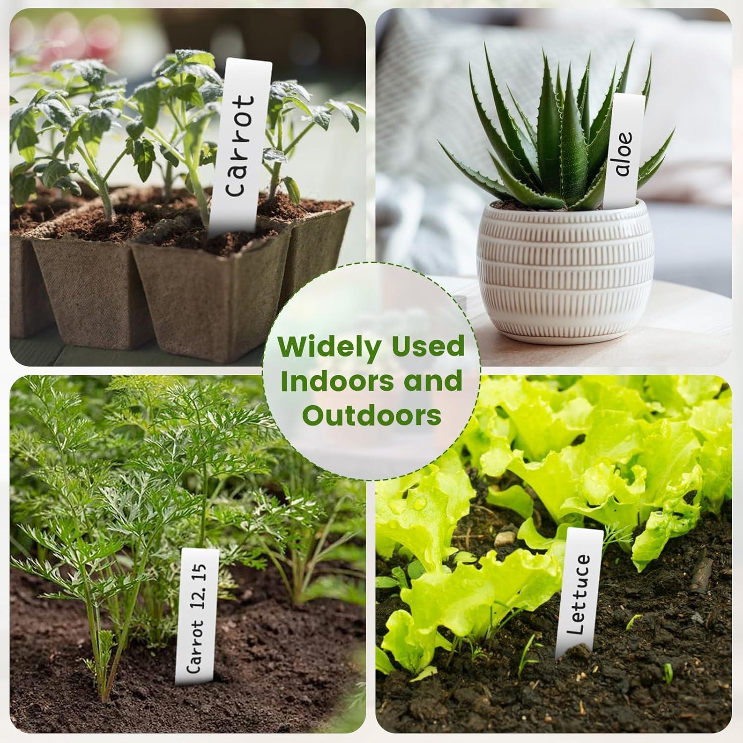 Etiquetas de Jardín KINGLAKE 600 Pcs 2x10 cm PVC Blancas