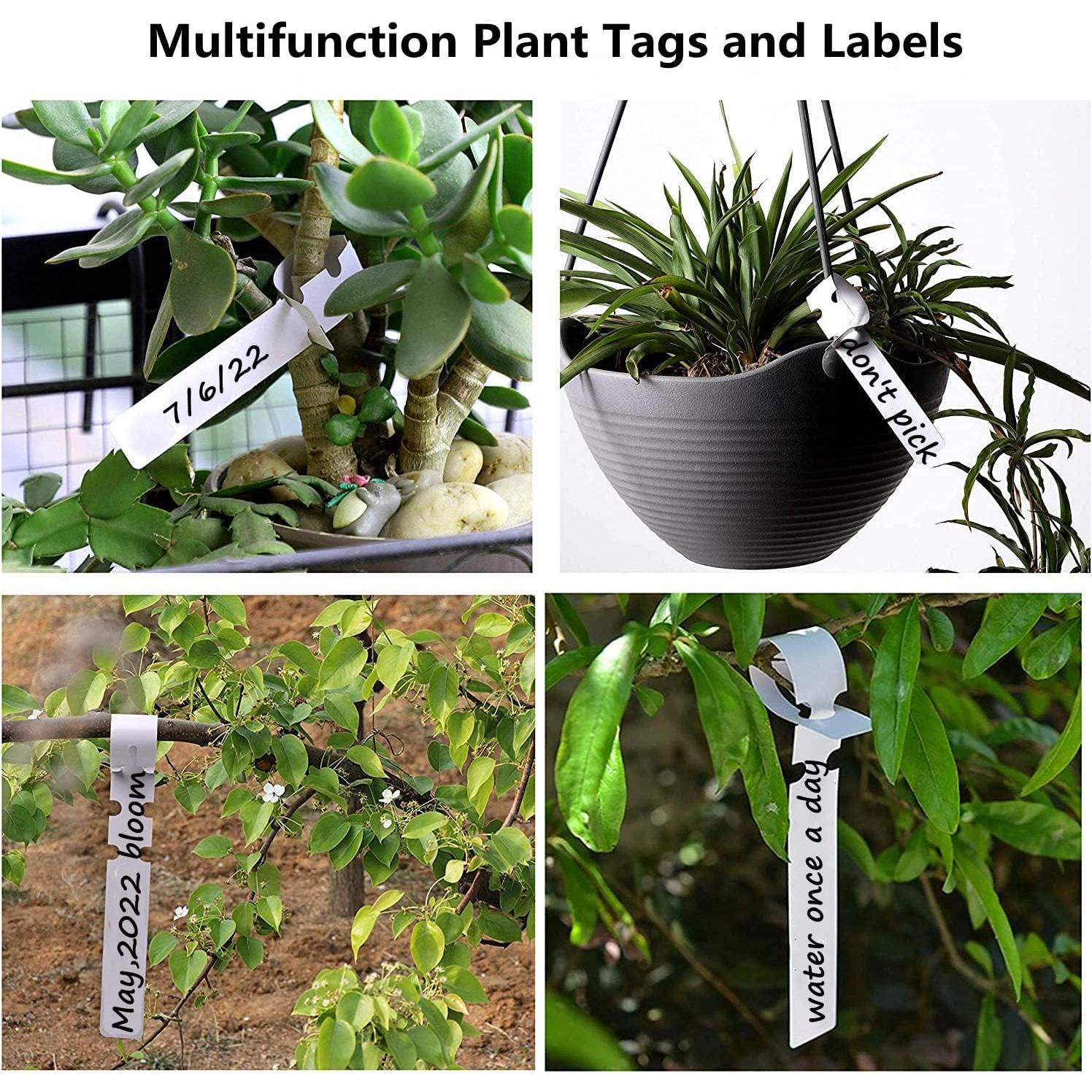 200 Etiquetas de Plástico Kecoya para Plantas 20x2cm Blancas