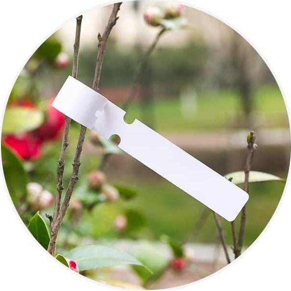 200 Etiquetas de Plástico Kecoya para Plantas 20x2cm Blancas