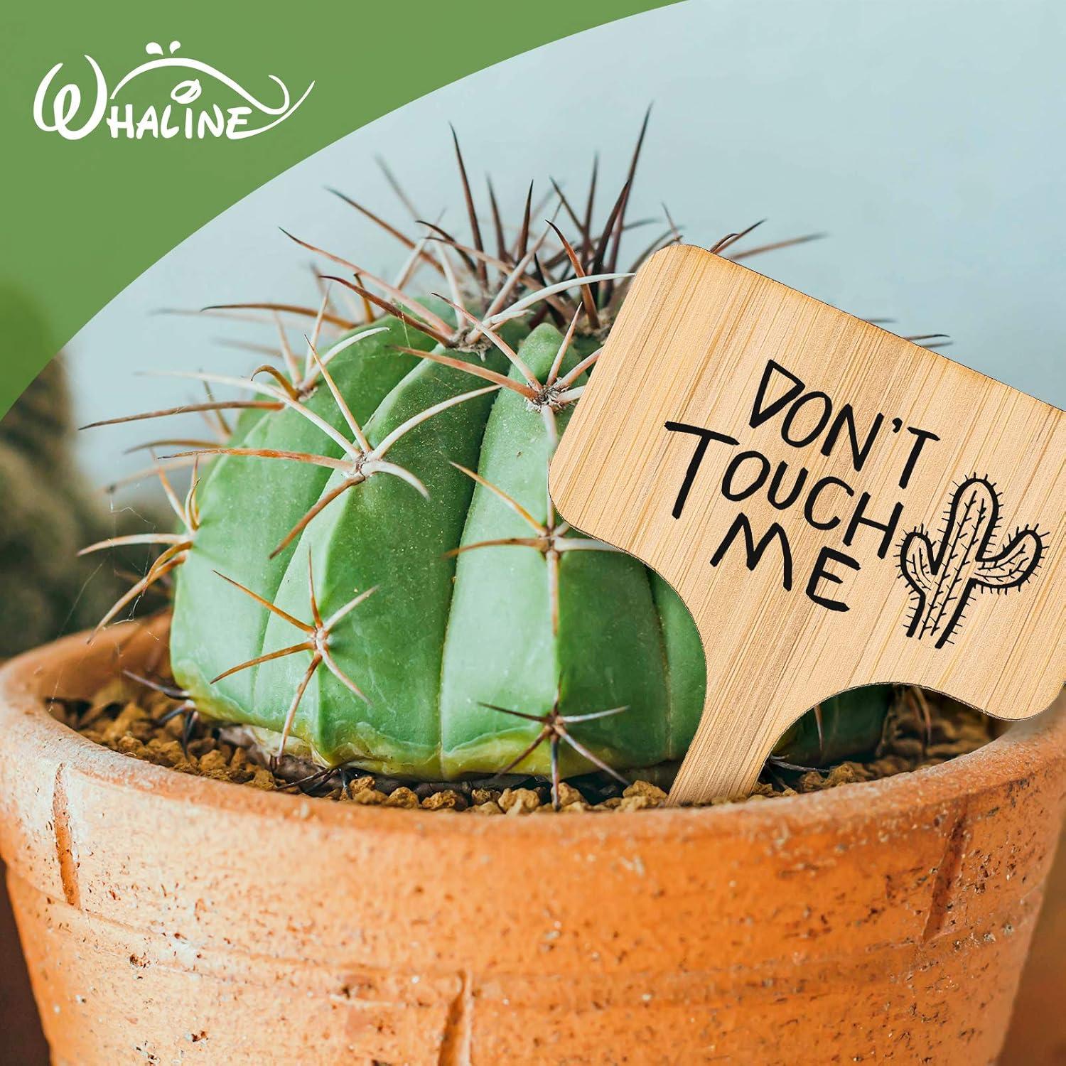 Etiquetas de Plantas de Bambú Whaline 50 Pcs con Bolígrafo