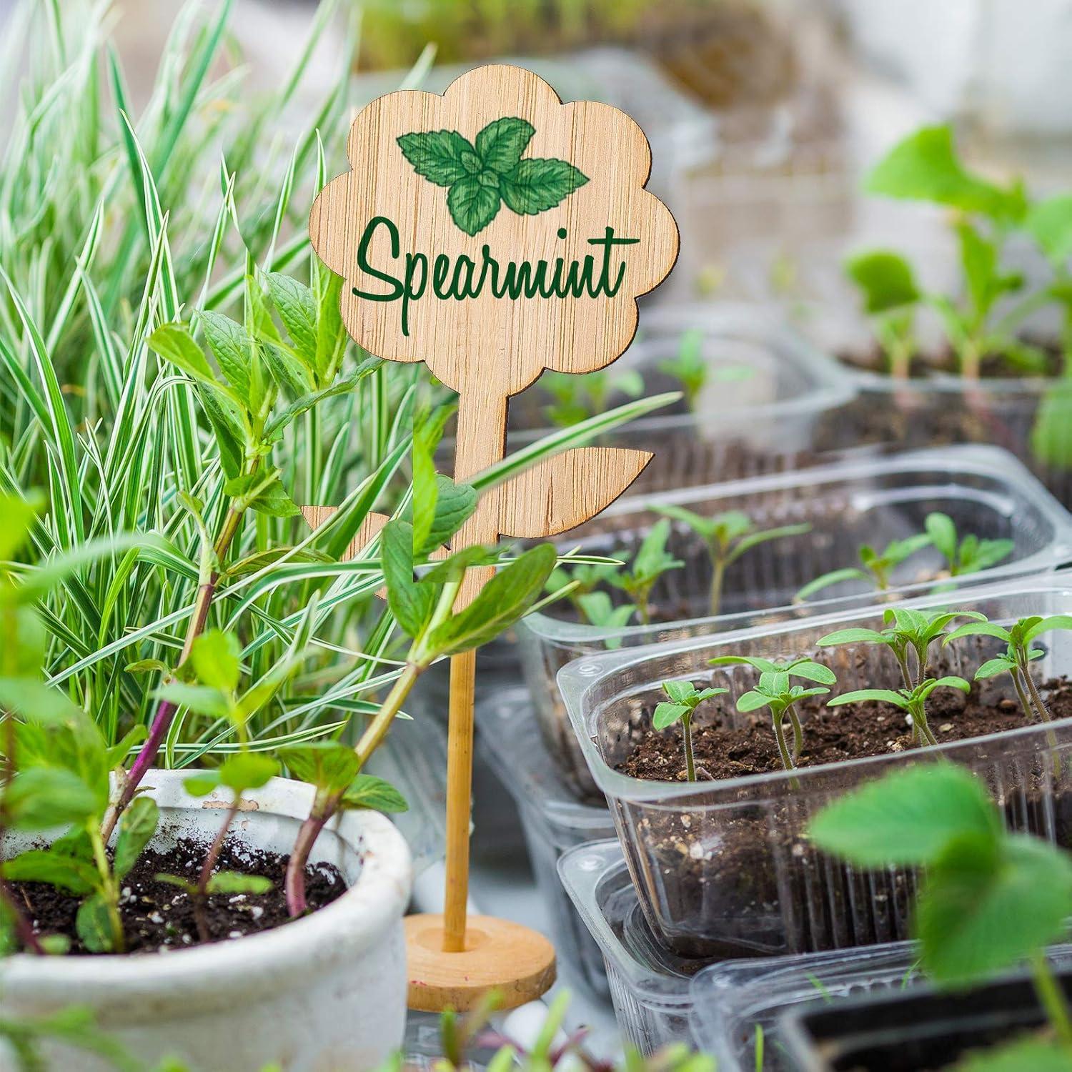 Etiquetas de Plantas de Bambú Whaline 60 Pcs con Bolígrafo