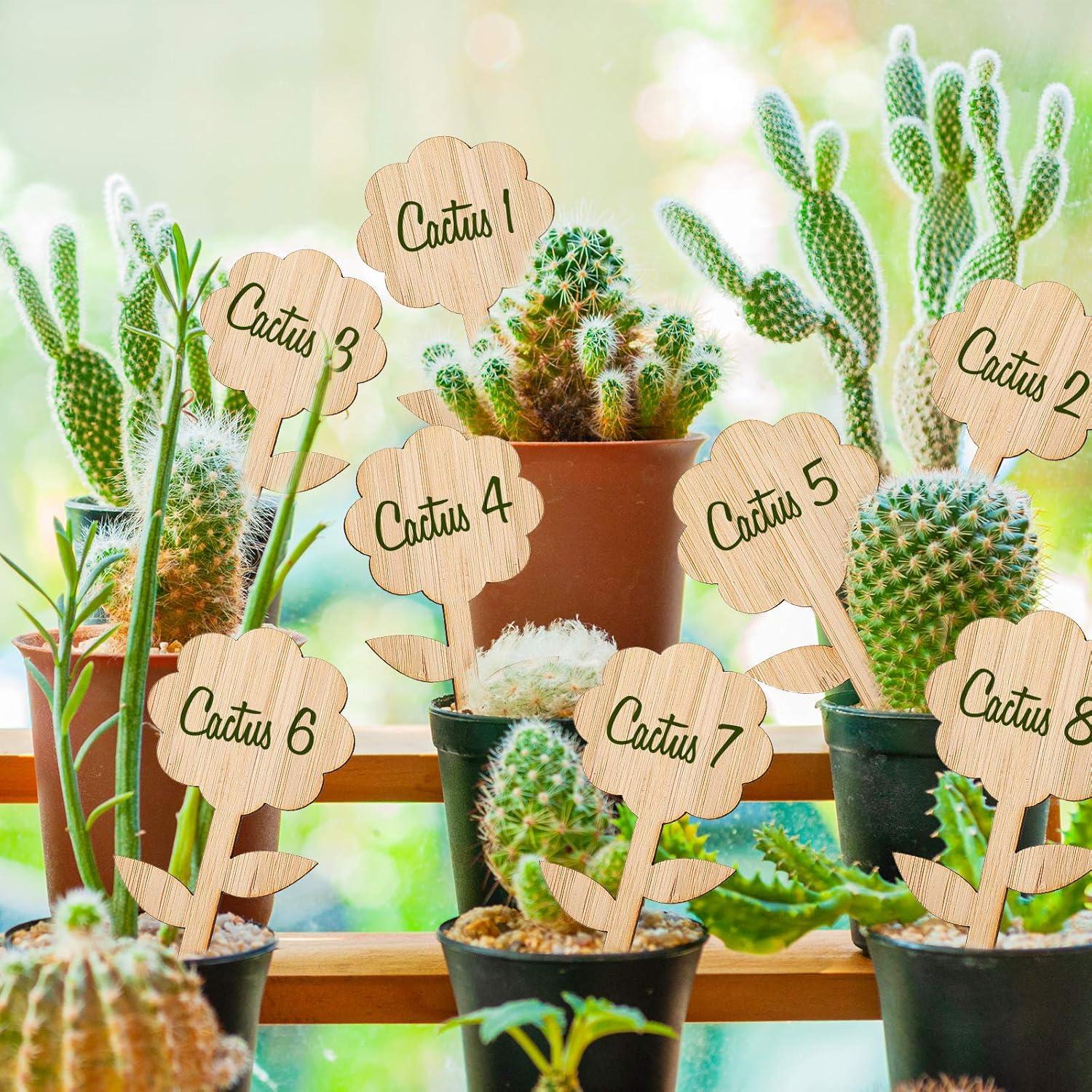 Etiquetas de Plantas de Bambú Whaline 60 Pcs con Bolígrafo