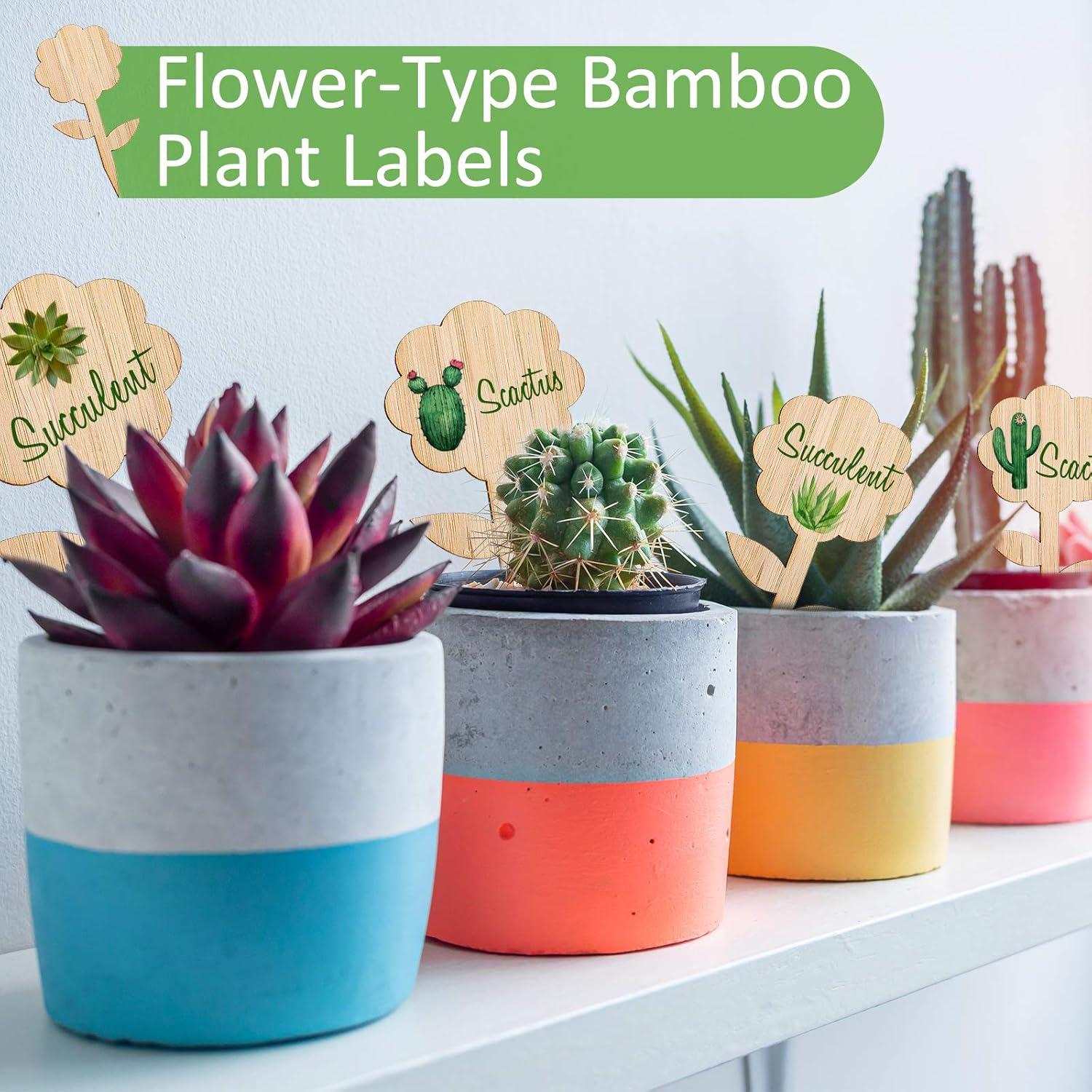 Etiquetas de Plantas de Bambú Whaline 60 Pcs con Bolígrafo