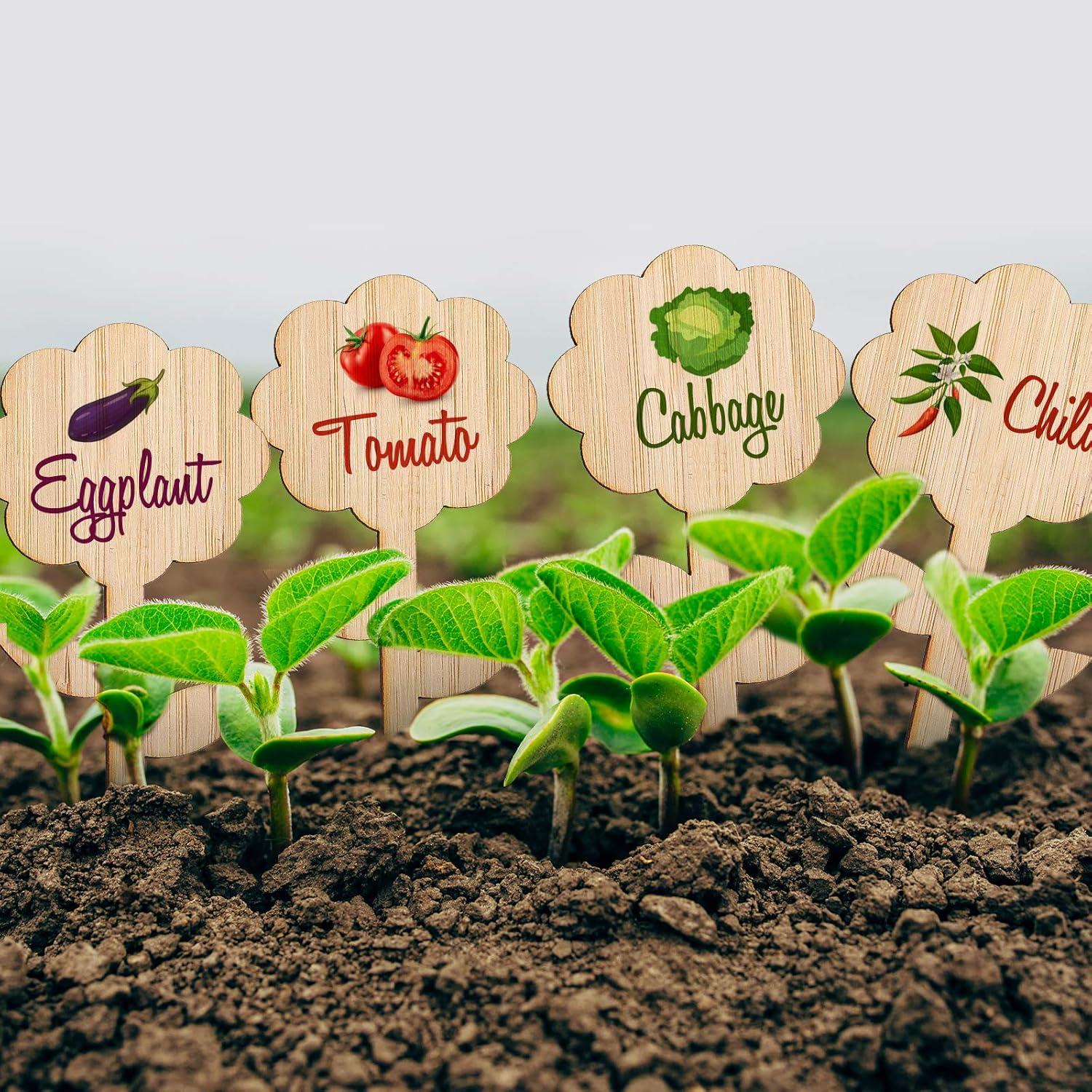 Etiquetas de Plantas de Bambú Whaline 60 Pcs con Bolígrafo