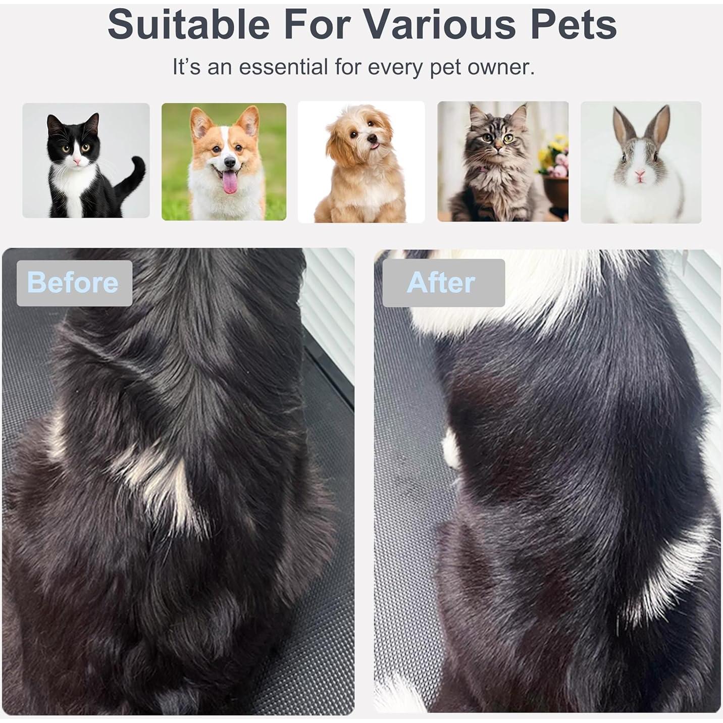 Kit de Acicalamiento 5 en 1 PETPAWLOVELY para Mascotas