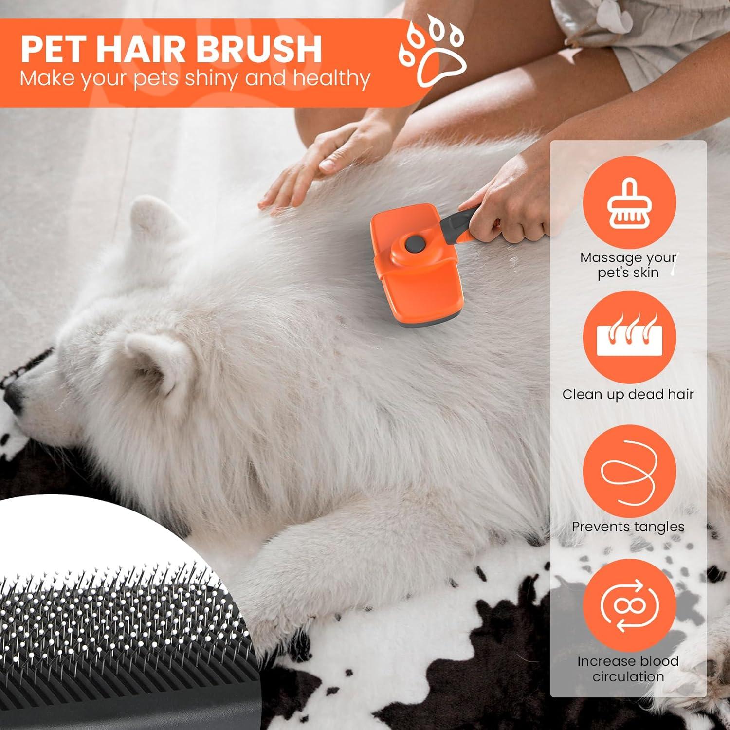 Cepillo Autolimpiante LION TAMER para Perros y Gatos Grande