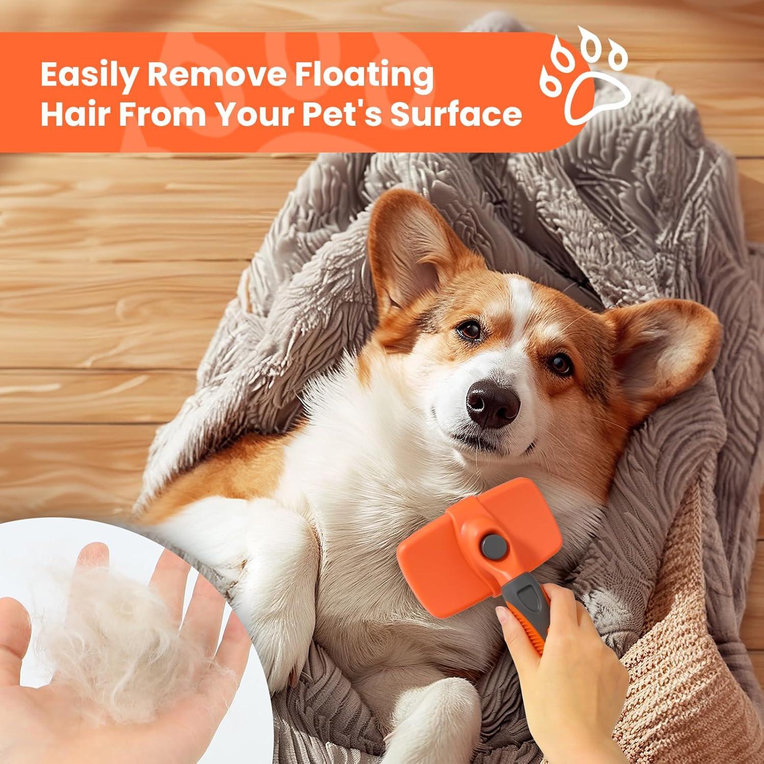 Cepillo Autolimpiante LION TAMER para Perros y Gatos Grande