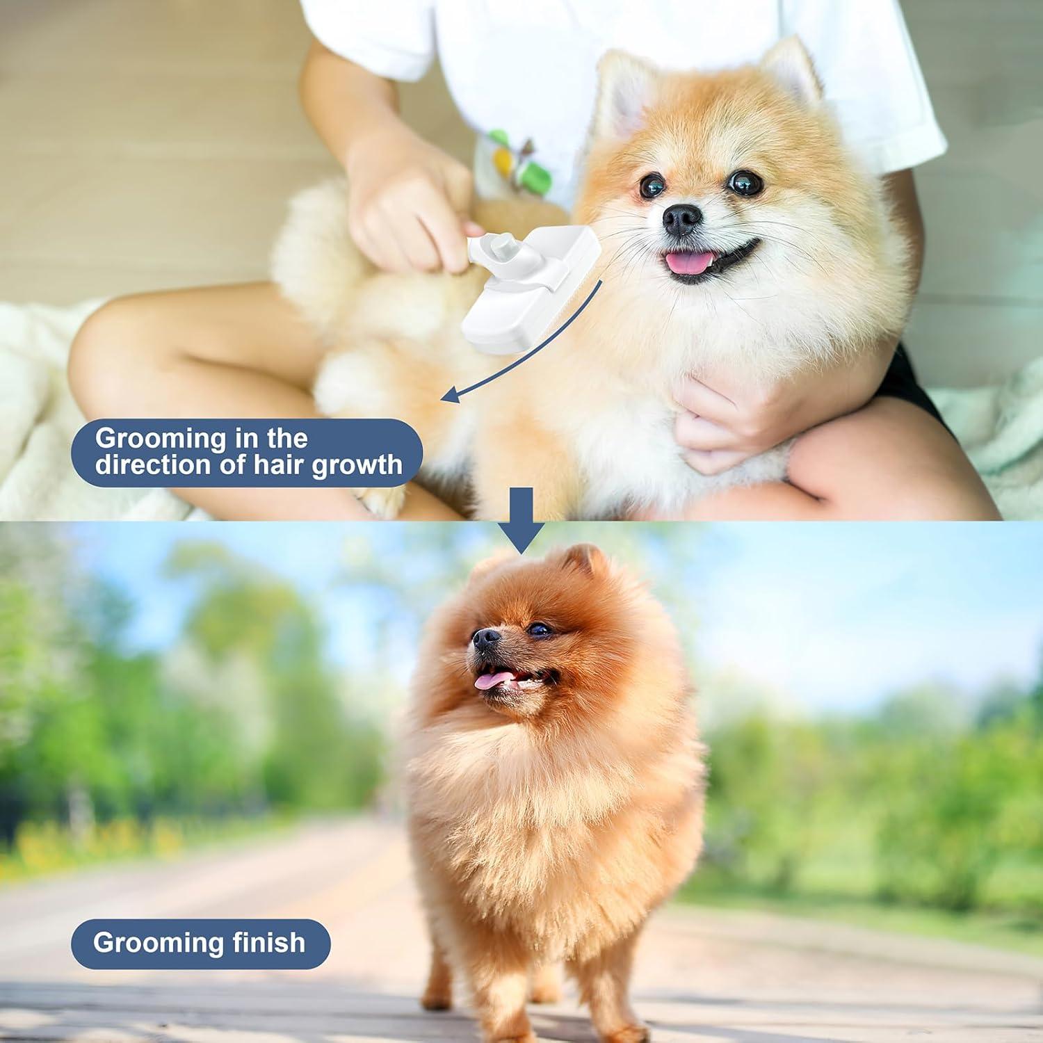 Cepillo Autolimpiante Crala para Perros y Gatos - Elimina Pelo Suelto