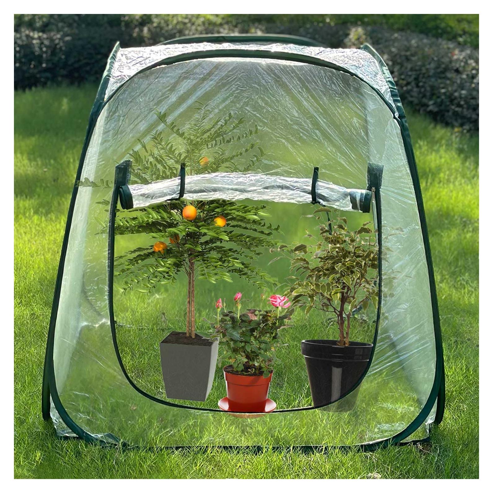 Cubierta Invernadero Pop Up Hkvoxim 99x99x99cm PVC Transparente